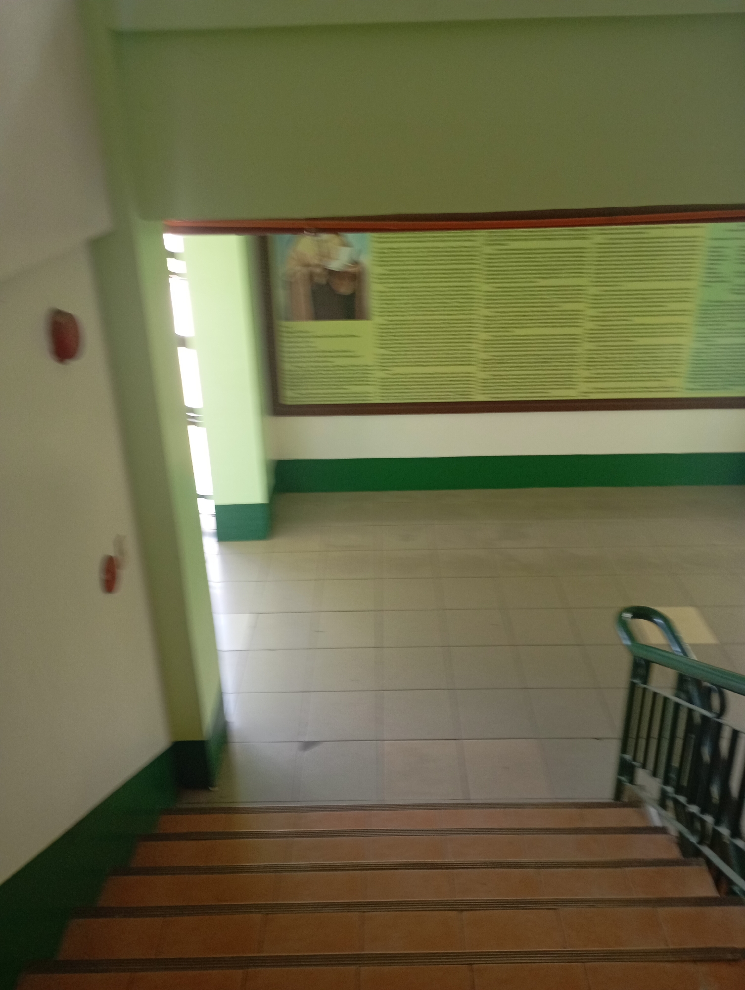 The image shows a view from the top of a staircase looking down and into a hallway. The hallway has light-colored tiled floors and light green walls. A large, framed display with green text and a picture is mounted on the wall at the far end of the hallway. To the left of the staircase, a white wall has two red circular objects mounted on it. A dark green railing runs along the right side of the staircase. The staircase itself has brown tiled steps with dark edges. The scene appears to be an indoor public space, possibly a school or government building. It is not possible to determine the specific location within Davao City, Philippines from the visual information provided.
