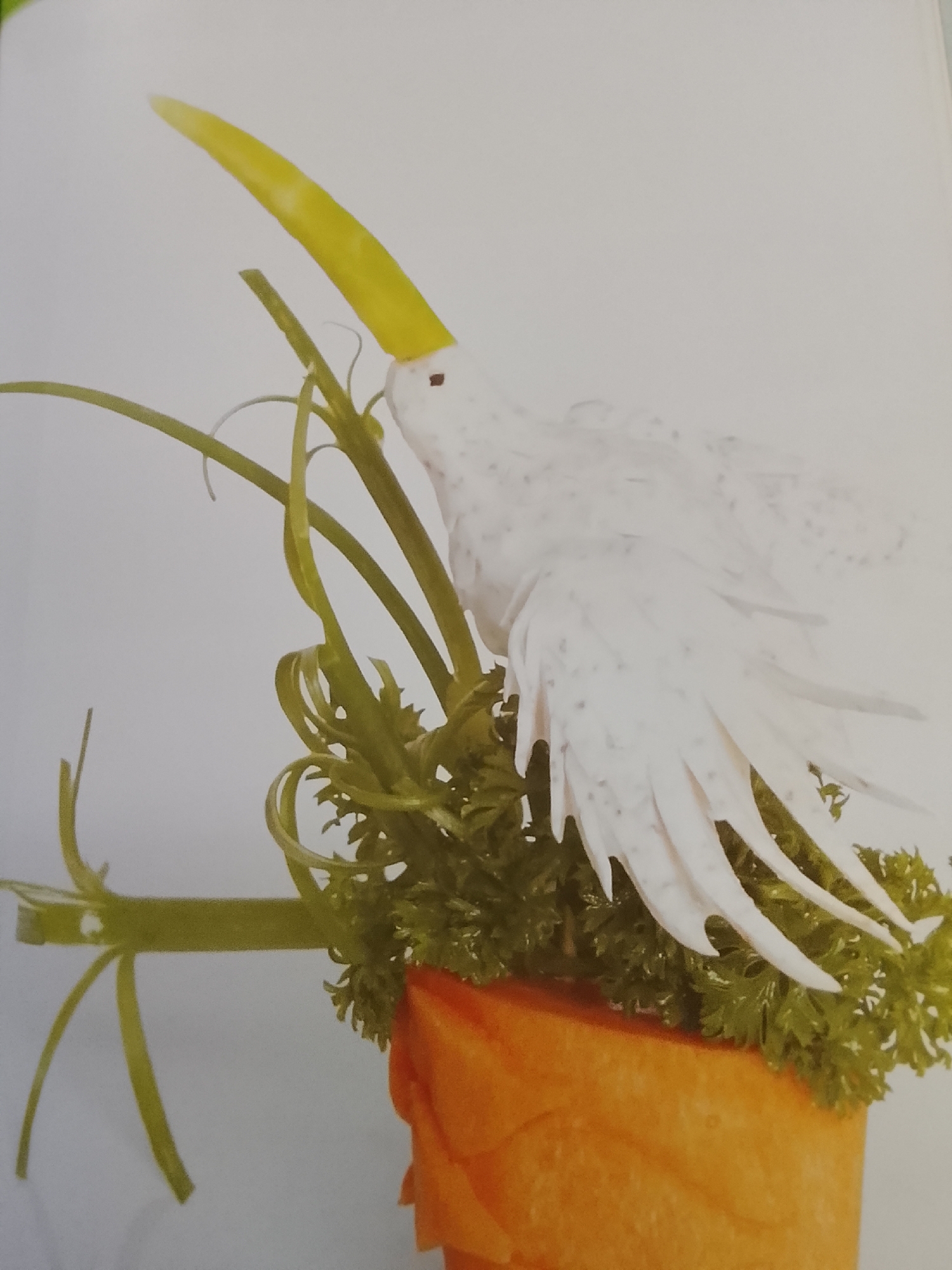A decorative food arrangement features a white bird carving, seemingly made from a vegetable, with gray speckles on its body. A long, yellow object forms its beak. The bird is perched on top of a green, leafy cluster, potentially parsley, which itself sits on a cylindrical orange base, possibly a carrot. Green sprigs of plant matter surround the arrangement. The background is a plain white surface. The arrangement is unlikely to be located in the city of Altagracia, Venezuela, and is instead a general depiction of a food carving arrangement.