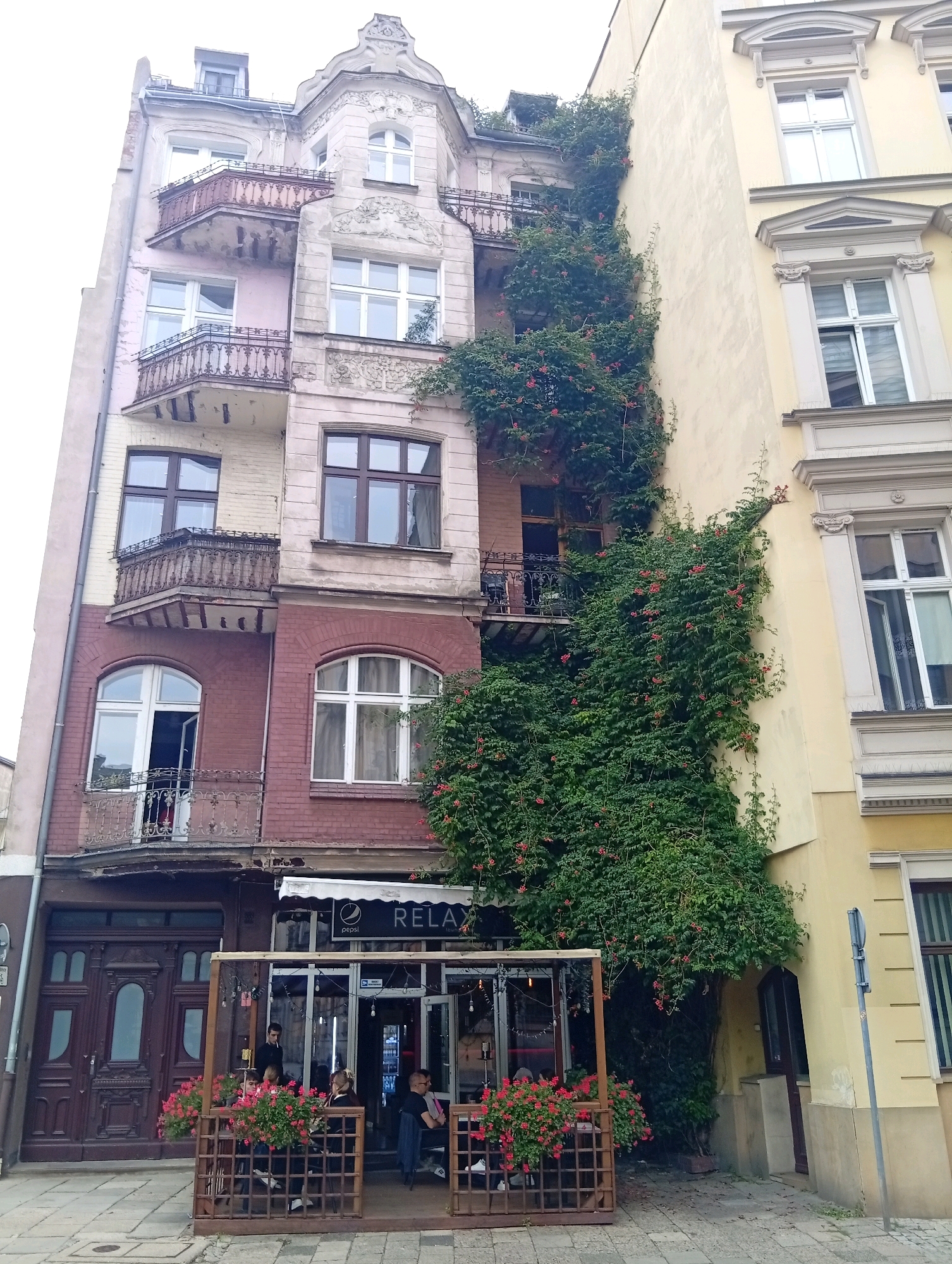 The image depicts a narrow street scene in Wrocław, Poland, focused on the facade of two adjoining buildings. The building on the left is older, with a pinkish-red lower section and a pale pink upper section, featuring ornate balconies with wrought-iron railings and decorative plasterwork. Lush green ivy, adorned with small red flowers, climbs dramatically up the facade of this building and spills over onto the adjacent building. The building on the right is a lighter yellow, with more classical architectural details around its windows. At street level, a covered outdoor seating area for a cafe or restaurant, branded "RELAX," is visible. Several patrons are seated at tables, engaged in conversation or dining. A dark brown, elaborately carved wooden door is prominent on the left side of the frame, likely the entrance to an apartment building. The overall impression is one of a charming, slightly aged European street scene, with the vibrant greenery adding a touch of wildness to the urban architecture.