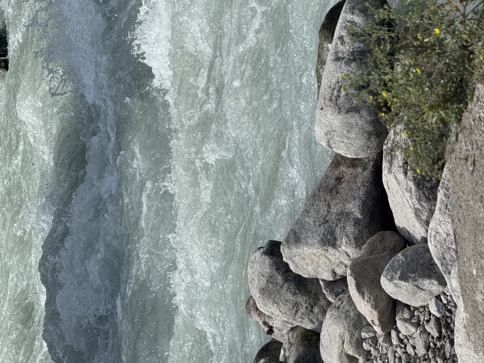 The image depicts a close-up view of a turbulent river with foamy, white water rushing over submerged rocks. The foreground is dominated by large, grey, smooth stones of various sizes, some partially covered by smaller pebbles and a patch of green vegetation with small yellow flowers. The river water is a pale, greenish-blue and appears highly agitated, with visible splashes and ripples. The lighting suggests it is daytime, with sunlight reflecting off the water's surface. There are no people or animals visible in the frame. The scene is one of a natural riverbank with flowing water and weathered stones.
