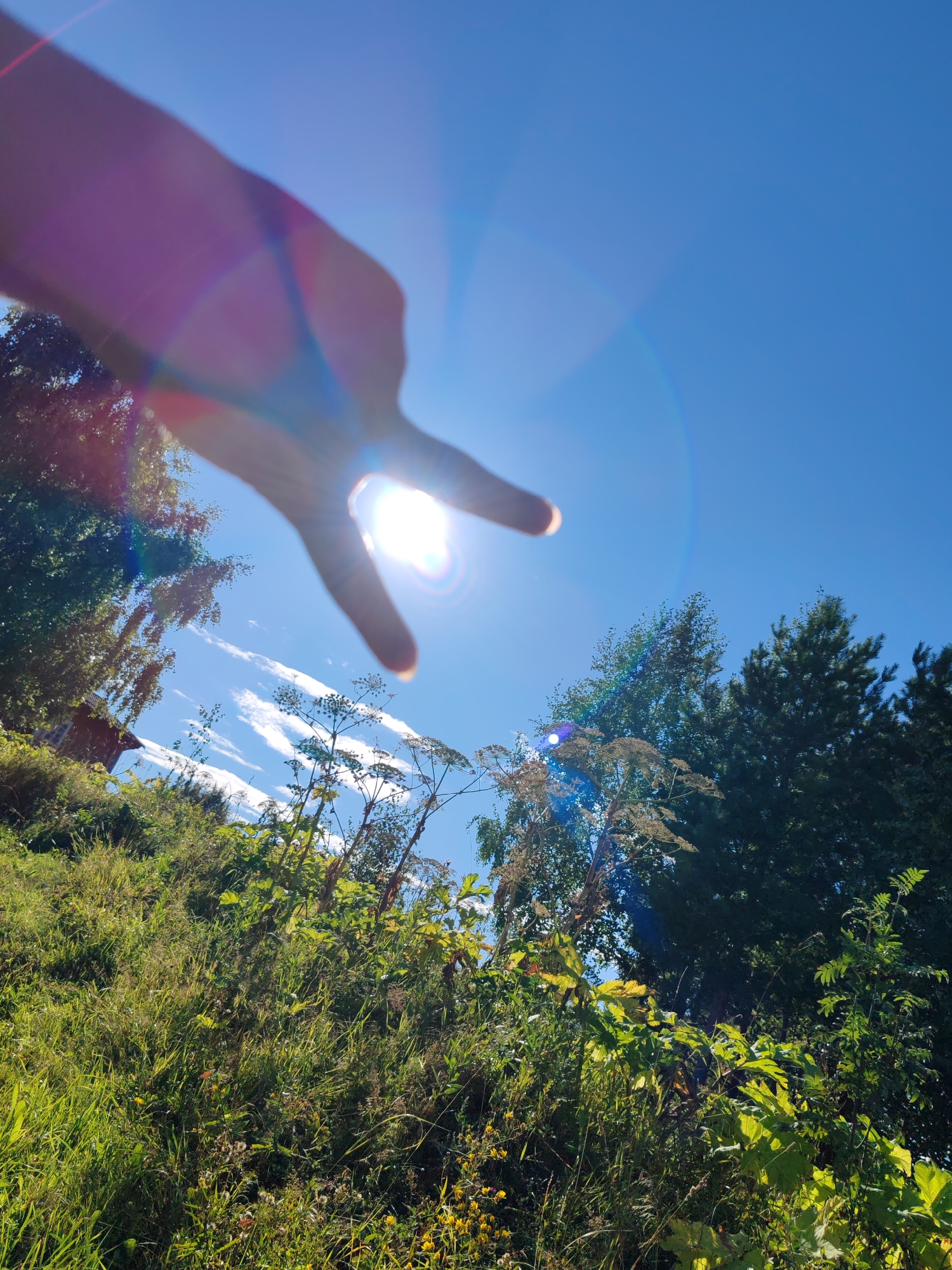 A hand is obscuring the sun in a low-angle shot against a clear blue sky. The sun's rays create a lens flare, appearing as bright white light with colorful rings of red, orange, and blue. The hand is out of focus, with two fingers extended, as if to block the sun. In the background, a lush, green hillside is covered with grass and various plants. Some trees with dark green foliage are visible on the left and right sides of the frame. A small, red wooden building is partially visible nestled amongst the trees on the left. The overall impression is a sunny day with a hand playfully interacting with the sunlight. The image was taken in Chukhlem, Russia.