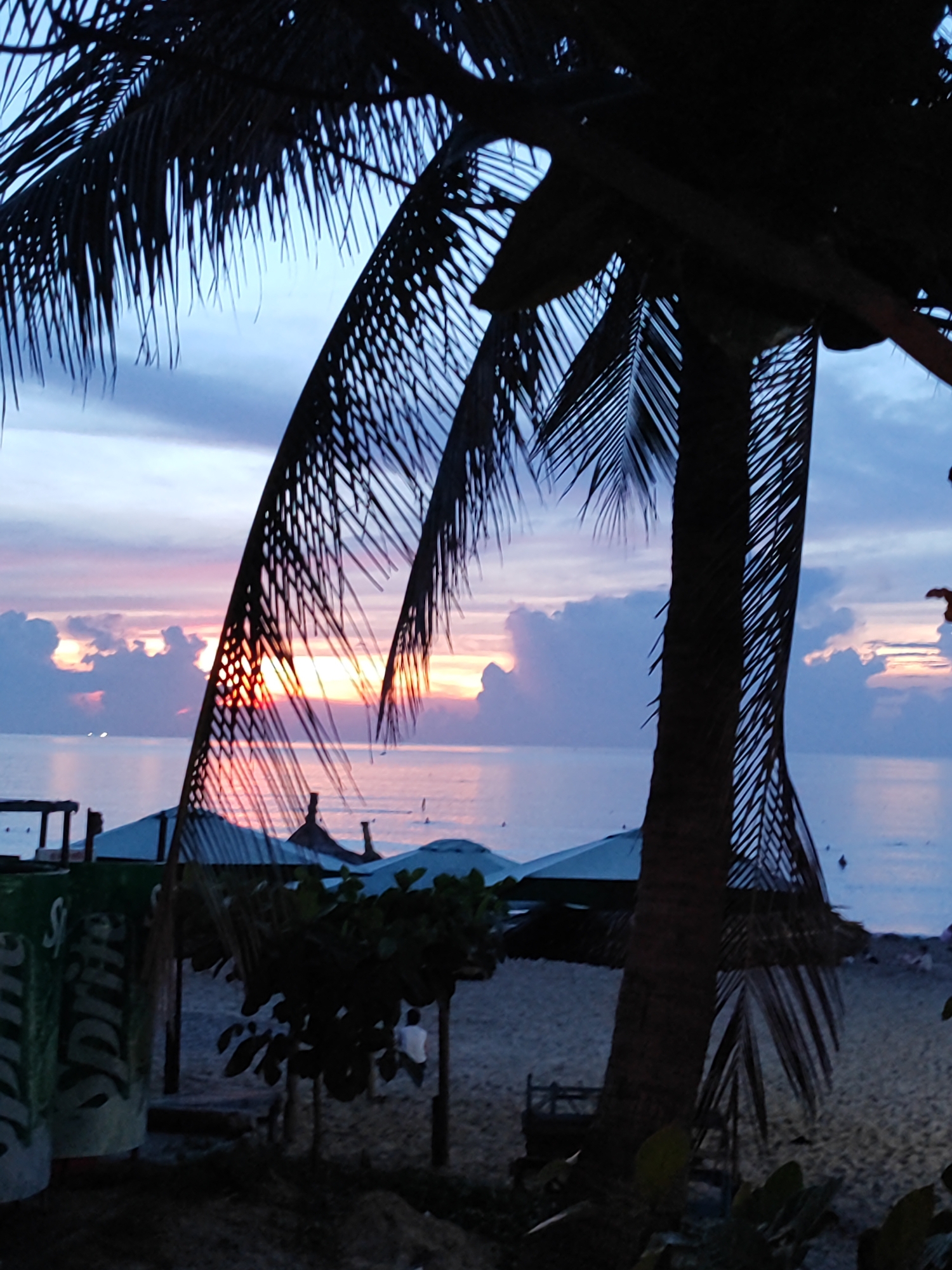 This image captures a serene beach scene at dawn or dusk on Mỹ Khê Beach in Đà Nẵng, Vietnam. The foreground is dominated by the silhouetted fronds and trunk of a palm tree, which partially obscures the view of the ocean and the sky. The sky displays a beautiful gradient of colors, transitioning from a soft pink and orange near the horizon, where the sun is either rising or setting, to shades of blue and purple higher up. Scattered clouds are illuminated by the sun's rays.
In the midground, the calm ocean stretches out towards the horizon. Along the sandy beach, several umbrellas are visible, some appearing to be beach cabanas or awnings. The sand itself is visible, with some scattered vegetation and dark outlines of beach structures. There are at least two large green cylindrical objects with white lettering on the left side of the frame, possibly repurposed barrels or containers, with the word "SPRITE" partially visible on one.
Further back, a few small figures can be discerned on the beach. One person, wearing white, is seated under a tree. The overall atmosphere is tranquil, with the natural beauty of the coastal landscape taking center stage. The lighting suggests a time of day when the sun is low in the sky, creating long shadows and a soft, diffused light.
