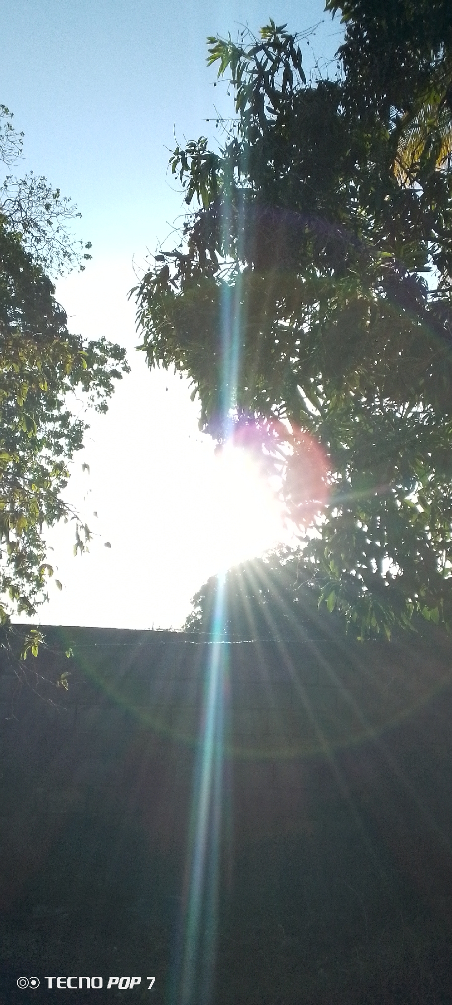 The image, taken in Altagracia, Venezuela, captures a bright sunny day with the sun obscured by trees. The sun's rays create a strong light effect, washing out some details. A dark wall sits in the foreground, and the trees extend upwards. The sky is a clear blue where visible. A "Tecno Pop 7" watermark is present in the lower-left corner.