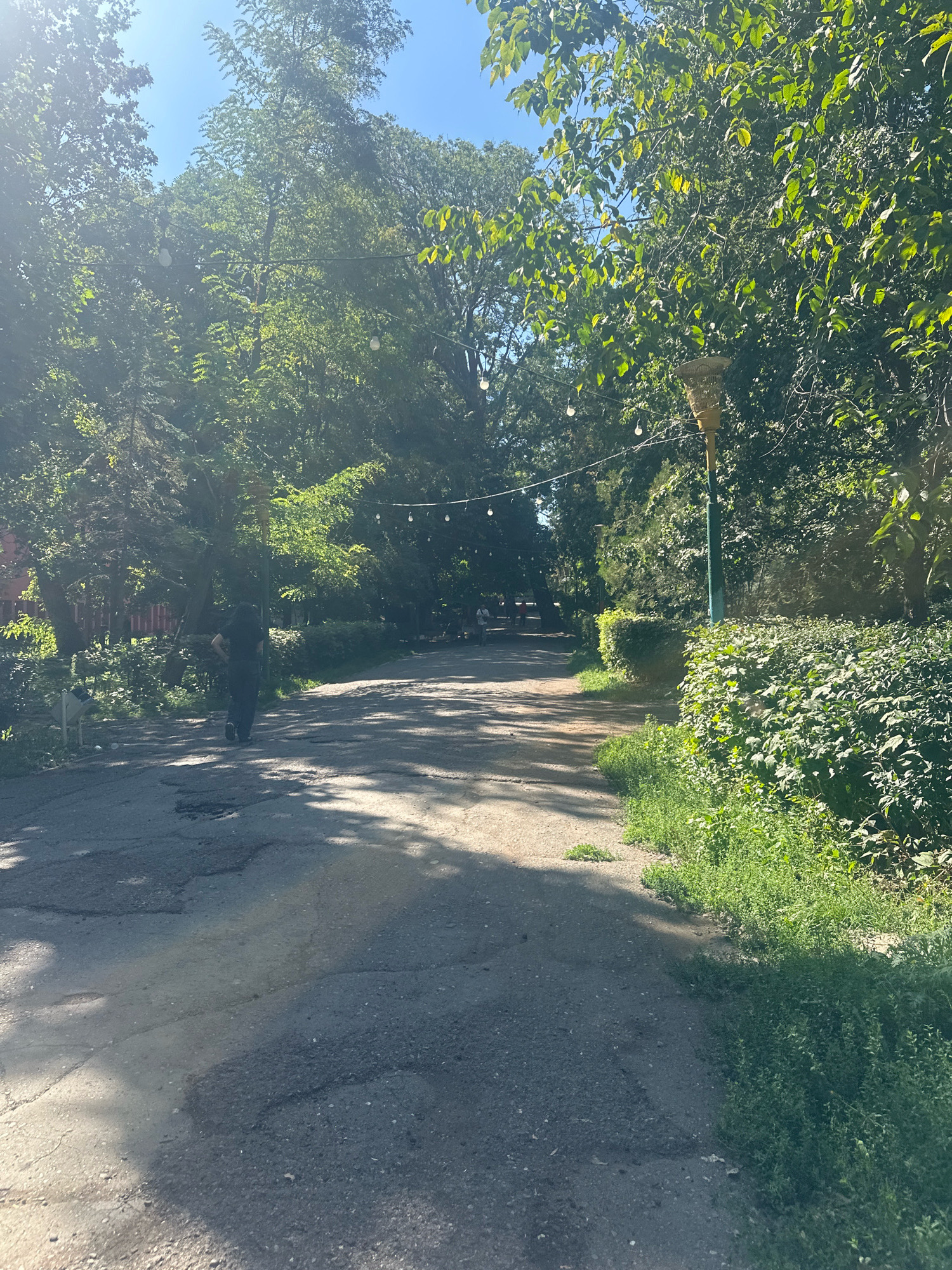 The image depicts a pathway in a park-like setting, possibly in Gyumri, Armenia. Sunlight filters through the dense foliage of mature trees lining both sides of the path. The path itself is paved with asphalt, showing signs of wear and tear with several potholes visible. A person with dark hair, wearing dark clothing, is walking away from the camera down the path, casting a shadow. In the distance, more trees and some structures are visible, as well as a street lamp with a bird cage on top, adorned with string lights. Lush green bushes and grass grow along the edges of the path. The sky is a clear blue.
