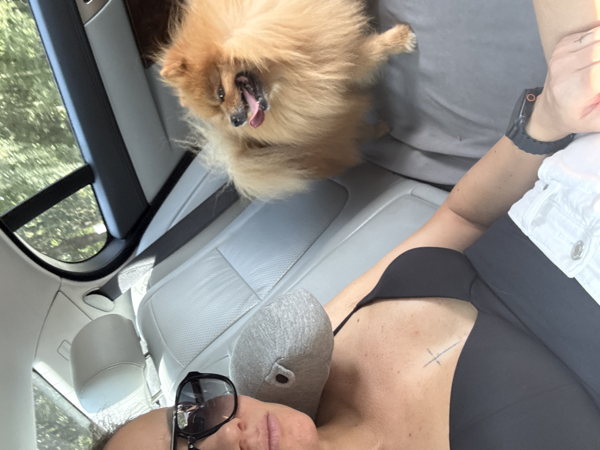 A medium shot shows a woman in the back seat of a car, wearing sunglasses and a black top. She has a small grey pillow behind her head. A fluffy orange Pomeranian dog is sitting next to her, panting with its tongue out. The interior of the car is visible, with light-colored leather seats and black trim. Outside the car windows, trees and foliage can be seen, suggesting a suburban or rural setting. The image does not provide any information to indicate the location is Lüneburg, Germany.