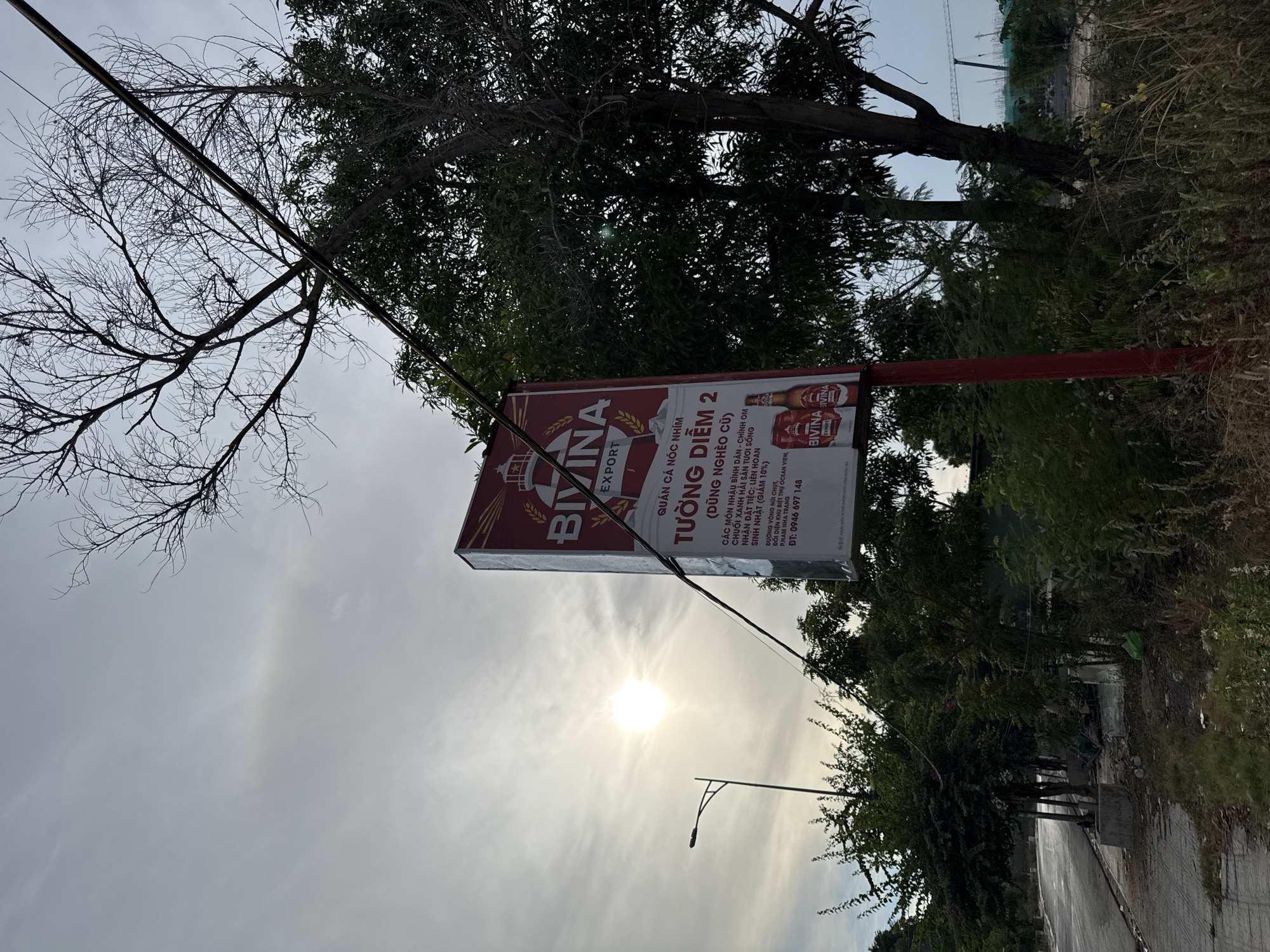 The image shows a roadside scene in Nha Trang, Vietnam, featuring a large red and white billboard for "BIVINA EXPORT" beer. The billboard is mounted on a red pole and displays images of beer bottles and cans, along with text in Vietnamese. Behind the billboard, a bare tree with thin branches extends upwards, crossing over telephone wires. To the left of the billboard, a street lamp stands against a bright, hazy sky with the sun visible. Lush green trees and foliage surround the billboard and extend along the roadside, which appears to be paved. In the distance, construction cranes and structures are visible, suggesting ongoing development in the area. The overall atmosphere is overcast with a bright sun peeking through the clouds.