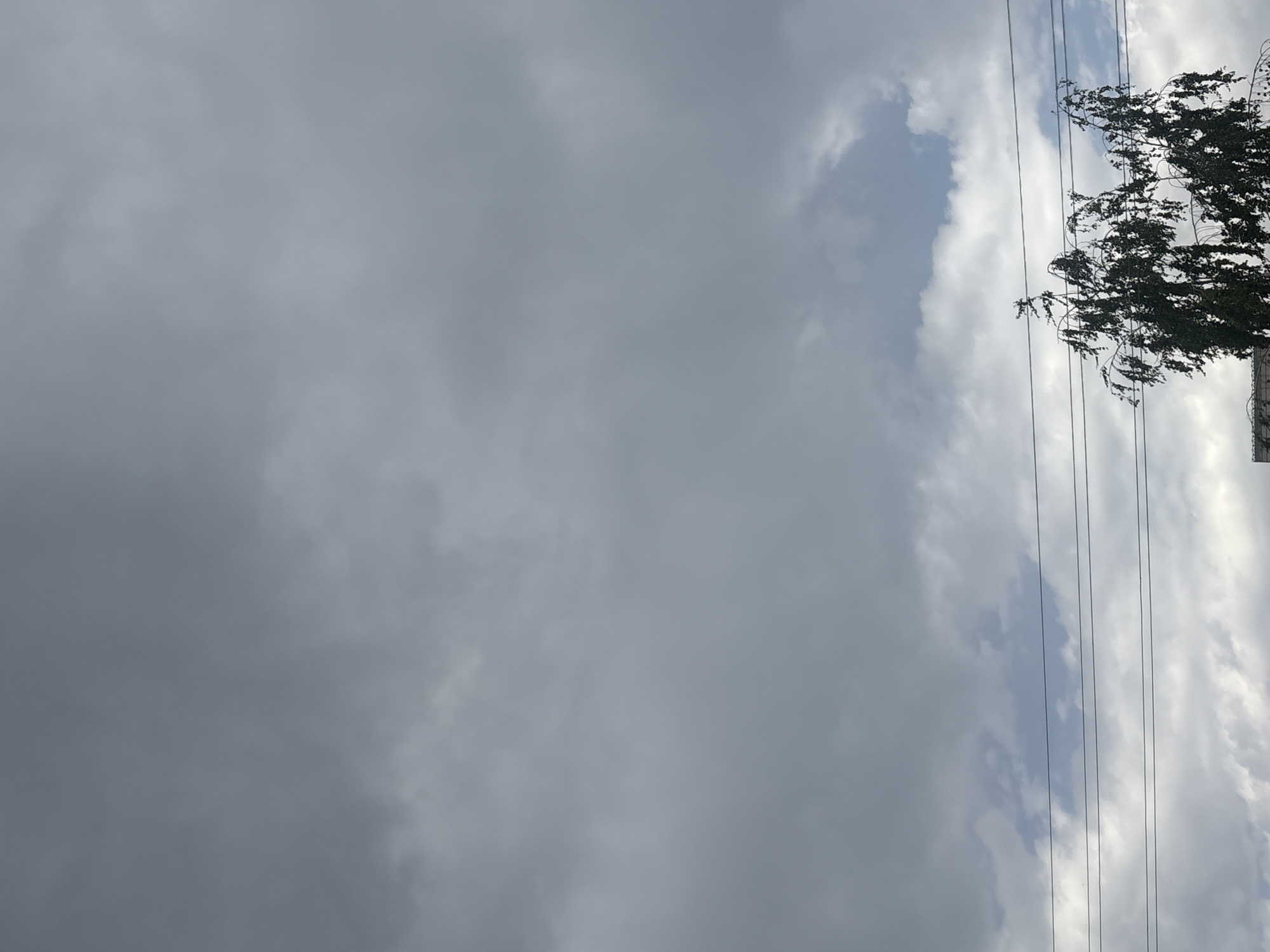 The image depicts a cloudy sky with a few thin, dark branches of a tree visible in the lower right corner. Several power lines are strung horizontally across the frame, just above the tree. The overall atmosphere is overcast and appears to be taken during the daytime in Georgiyevsk, Russia. No people or specific landmarks are identifiable.