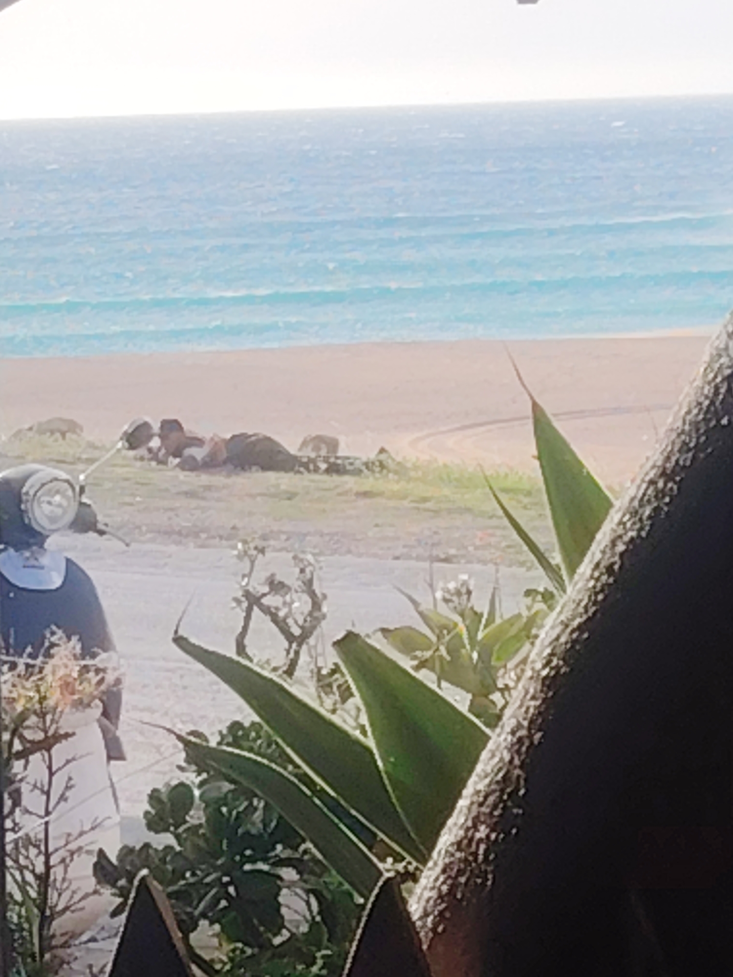 The image shows a coastal scene, likely in Tangier, Morocco, given the landscape and possible context. In the foreground, there is foliage, including what appears to be agave plants, which partially obscures the view. A section of a weathered, possibly stone or concrete, wall is also visible on the right.
Beyond the foliage, a beach is visible with light-colored sand. The water is a clear blue, characteristic of coastal areas. On the beach, there are dark, undefined objects that could be rocks or people. A motorbike parked on the edge of the beach is partially obscured by foliage and another person lying on the beach.
