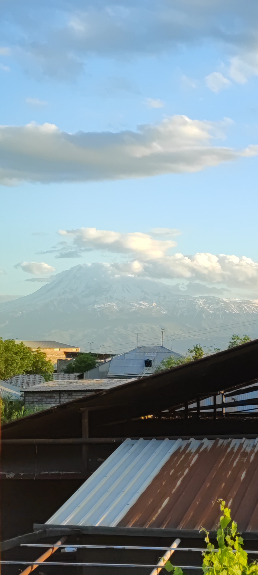 The image displays a panoramic view of a landscape, likely captured from an elevated perspective overlooking a settlement in Yerevan, Armenia. The focal point of the background is a majestic, snow-capped mountain range, identifiable as Mount Ararat, whose peaks are partially enveloped by soft white and light gray clouds. The mountain's lower slopes show signs of rock and sparse vegetation beneath the snow line.
Above the mountain, the sky is a clear, light blue, dotted with scattered clouds that catch a warm, gentle light, suggesting either early morning or late afternoon. The weather appears calm and clear.
In the mid-ground, a collection of buildings with various rooftops fills the space between the foreground structures and the distant mountain. A prominent feature is a large, rounded roof made of silver corrugated metal, alongside other flat and angled roofs. Green trees and dense foliage are visible between and around these buildings, adding elements of nature to the urban setting. Some utility poles and overhead lines can be seen extending above the structures.
The immediate foreground is dominated by several overlapping roofs, primarily dark in color. A large, sloped corrugated metal roof in the bottom right corner presents a striking contrast: one section is a rusty, reddish-brown, while the other is a bright, metallic silver. A vibrant green leafy vine is visible in the bottom right, adding a natural element to the man-made structures.
No people or explicit activities are visible in the image. There is no discernible text. The scene beautifully combines the grandeur of the natural landscape with the details of local architecture and daily life in the region.