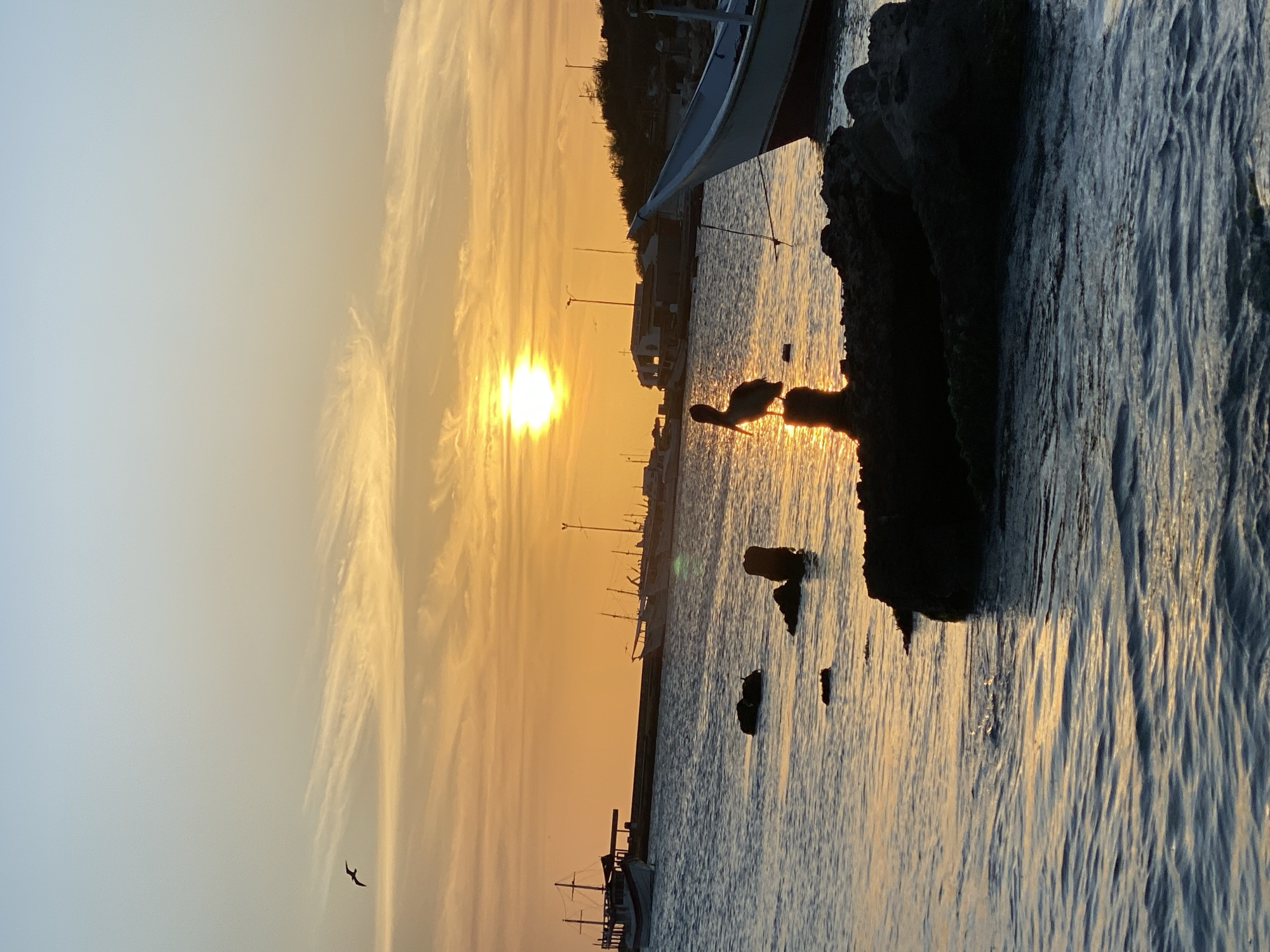 The image shows a harbor scene at sunset in Juan Griego, Venezuela. The sun is setting on the horizon, casting a golden glow over the water and sky. There are wispy clouds in the sky. The silhouette of a bird is seen in the lower left portion of the image. The water is rippled with the movement of the tide. The silhouette of a pelican stands on a stone, while two more are on a smaller stone nearby. A boat is docked on the right side of the image. Buildings are visible on the horizon.