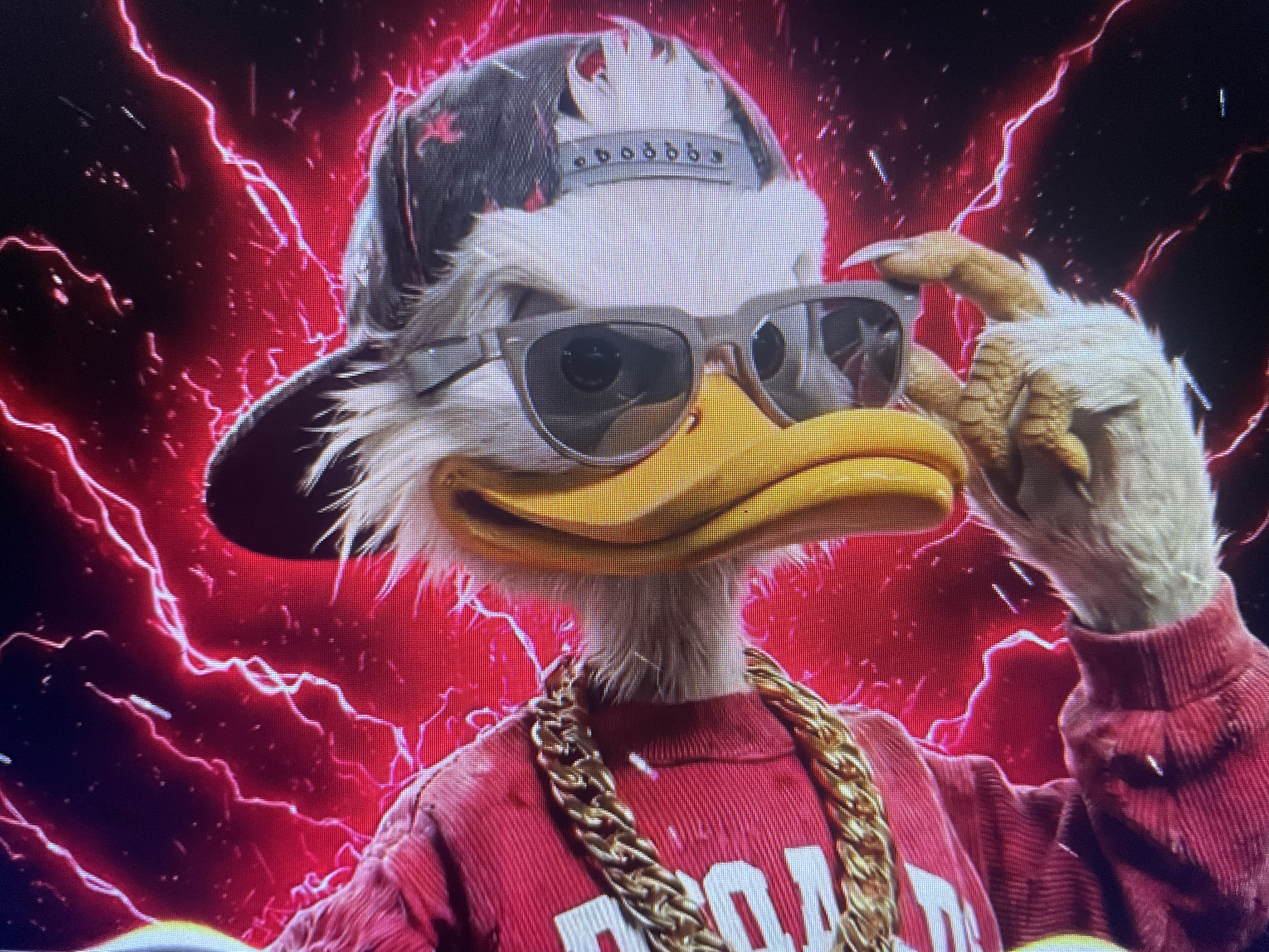 The image is a close-up of a cartoon duck wearing sunglasses, a backwards baseball cap with studs, a red shirt, and a thick gold chain. The duck has white feathers and a yellow beak. The background is a dark red with abstract red lightning-like patterns. There is no visible context of Kołobrzeg, Poland within the image.