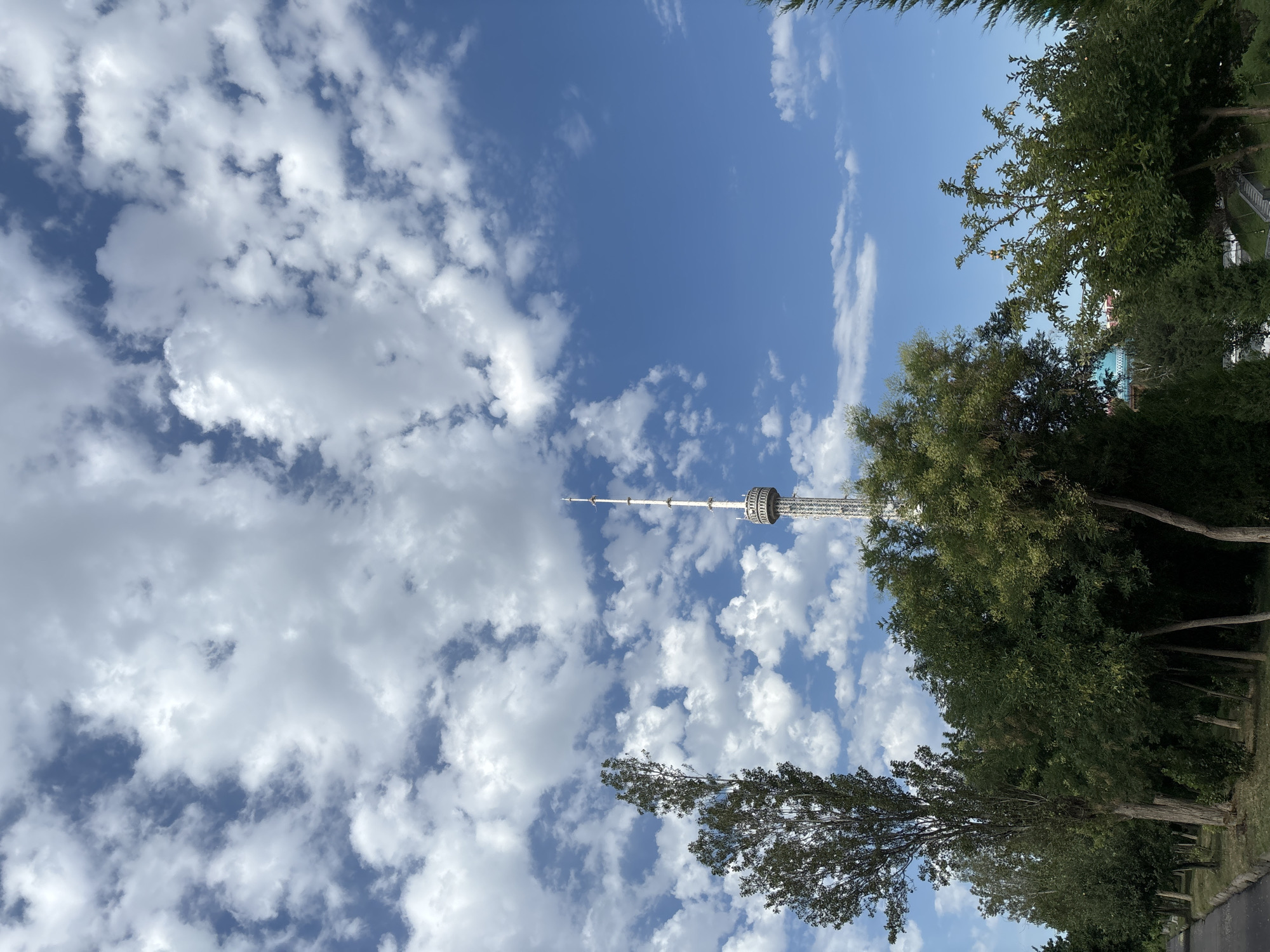 The image captures a view of the Tashkent TV tower, also known as the Uzbekistan Telecommunication Tower, set against a bright blue sky filled with fluffy white clouds. The tower, a prominent landmark in Tashkent, Uzbekistan, is a slender, metallic structure with a circular observation deck partway up. It tapers to a sharp point at the top, adorned with antennas. In the foreground, a lush green park with various trees and foliage partially obscures the lower section of the tower. A paved walkway runs along the left side of the frame, bordered by a low curb. The overall scene suggests a clear, sunny day in an urban park setting.