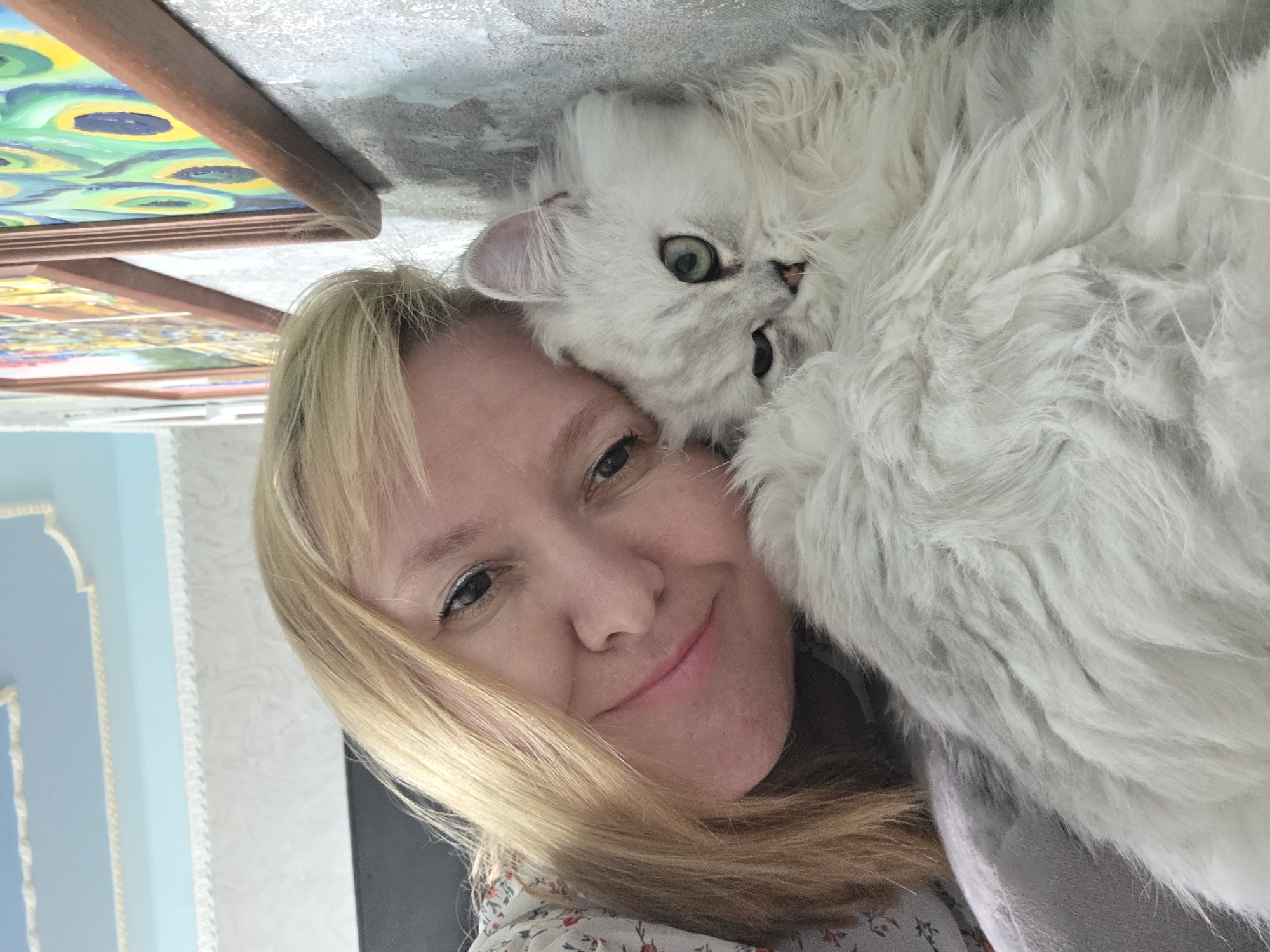 In this selfie, a woman with blonde hair rests her head against a fluffy white cat. The cat's green eyes are open, and it appears to be looking at the camera. The woman is smiling, and her eyes are also open. The background of the image is blurred, but it appears to be an indoor setting with paintings on the wall. The lighting suggests it is daytime. The woman is wearing a floral-patterned blouse. The overall mood of the image is affectionate and relaxed, suggesting a moment of shared comfort between the woman and her cat.