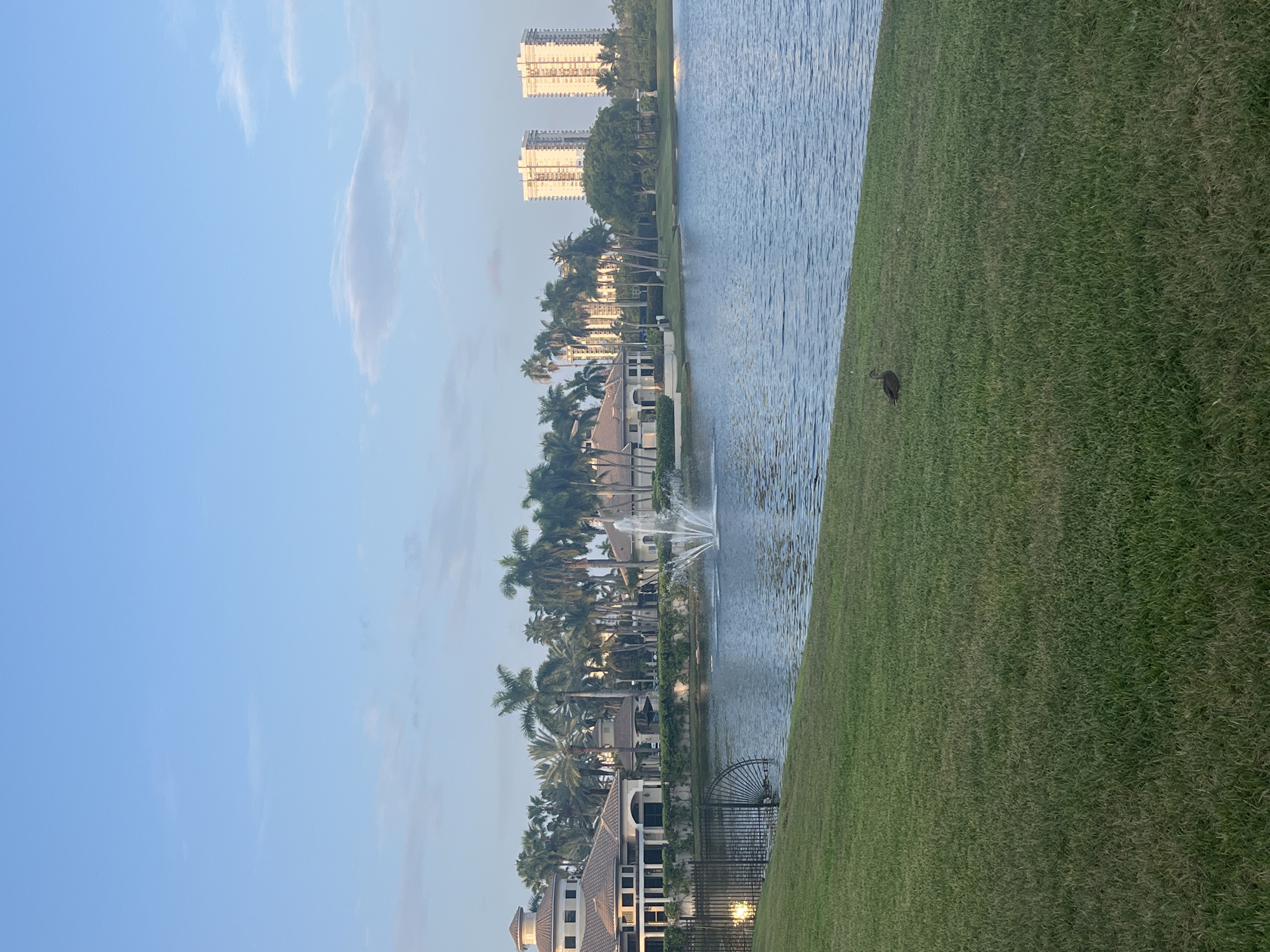 A still, eye-level shot captures a serene waterside scene with a manicured green lawn in the foreground. A lone duck stands on the grass near the water's edge. The lake reflects the clear blue sky and is adorned with a central fountain spewing water upwards. Beyond the lake, a row of upscale homes and lush palm trees line the shore, suggesting a tranquil residential area. In the distance, two tall, white apartment buildings rise against the horizon. The overall atmosphere is peaceful and idyllic, characteristic of a well-maintained suburban or resort community.