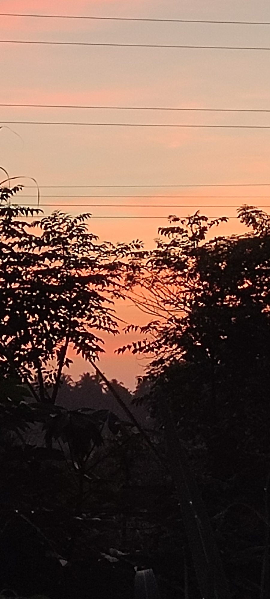 The image shows a sunset in Lhokseumawe, Indonesia, framed by silhouetted trees in the foreground. Power lines stretch across the upper portion of the frame. The sky transitions from light orange near the horizon to a paler, more diffuse color higher up. The trees are densely packed, creating a dark, organic border that focuses attention on the brightly lit sky. Lower in the image, the dense vegetation becomes almost completely black, with only the suggestion of shapes and textures visible.