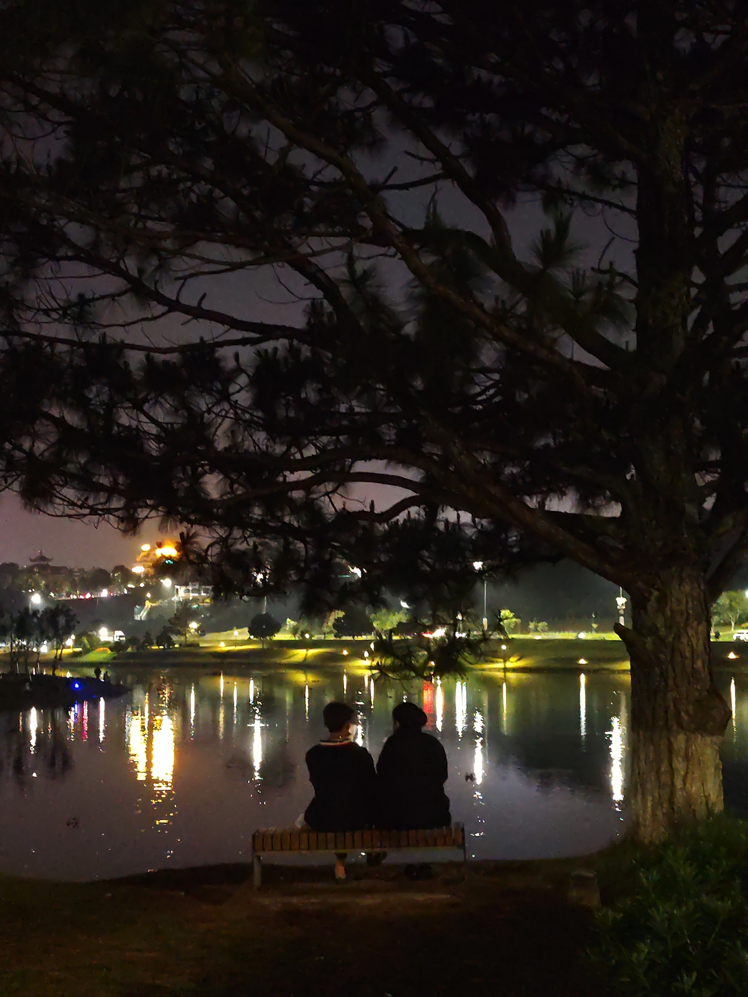 Two people sit on a bench at night facing a lake in Da Lat, Vietnam. Lights are reflected in the still water of the lake. A large tree is to the right of the bench. Across the lake, there are city lights. The sky is overcast.