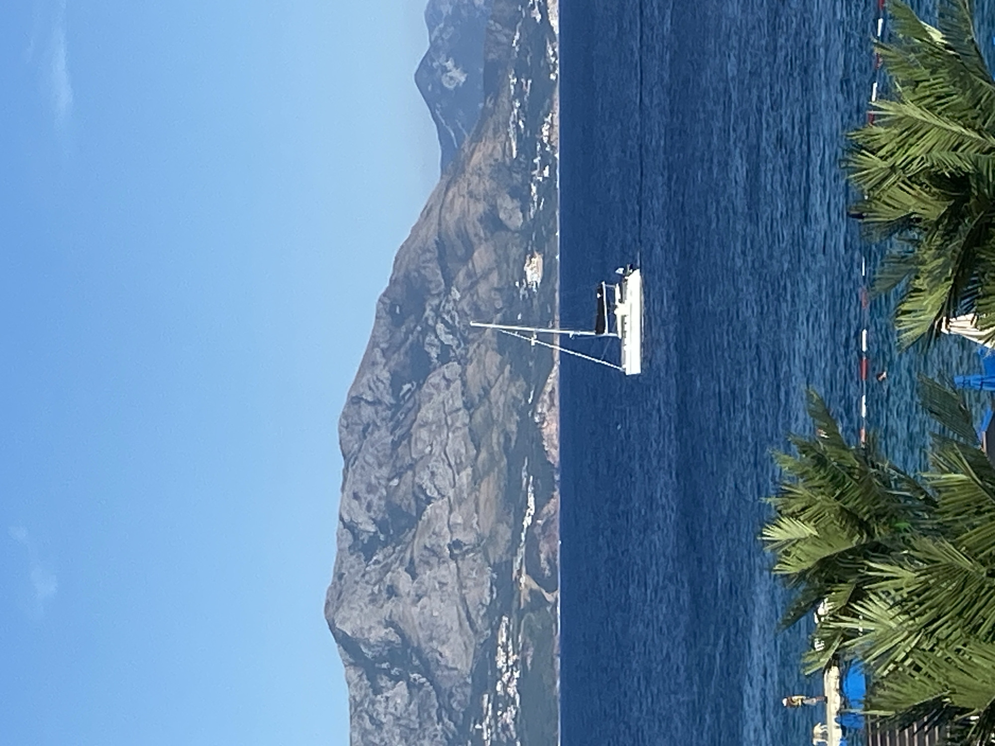 The image depicts a body of water, likely the Adriatic Sea, with a white sailboat navigating in the mid-ground. In the background, a range of rugged, mountainous terrain dominates the horizon, dotted with scattered white structures suggestive of a coastal town. The foreground features lush green palm fronds, framing the lower portion of the scene. A small section of a pier or walkway is visible on the left, with a person and a dog standing on it. The sky is clear and blue, indicating fair weather. The location is identified as Prijevor, Montenegro, which is consistent with the mountainous coastal landscape.