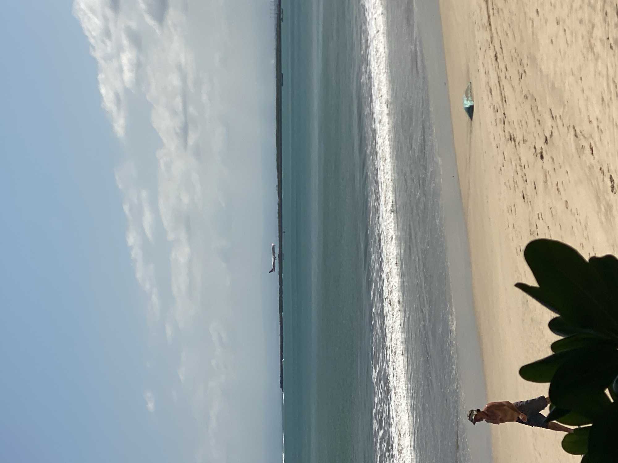 The image shows a beach scene in Kuta Selatan, Indonesia. The ocean stretches horizontally across the frame, with waves visible near the shoreline. A plane is taking off or landing in the distance above the water. The sand is light-colored and stretches towards the right side of the frame. A man with no shirt and wearing dark shorts stands on the beach, partially obscured by a large plant with dark green leaves in the foreground. The sky is light blue with some clouds present on the left side of the image.