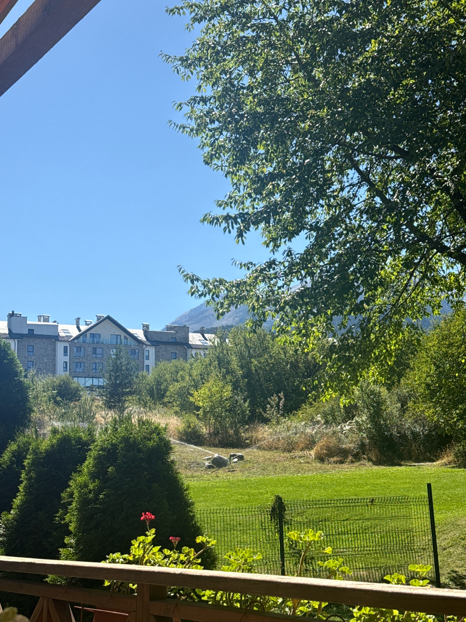 An outdoor shot captures a view from a wooden balcony overlooking a lush green lawn and surrounding foliage. In the background, a large building with a stone facade and multiple chimneys is visible. The sky is clear and blue. A tree with green leaves is prominently featured in the upper right corner of the frame. The scene appears to be set in Bansko, Bulgaria.