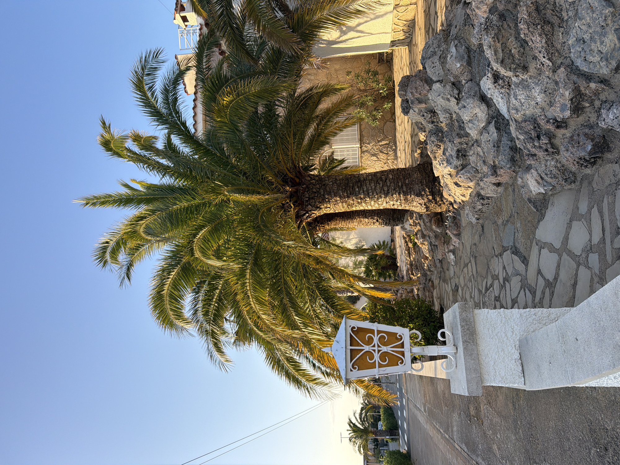 This outdoor shot shows a palm tree in Mont-roig del Camp, Spain. The sky is clear and blue, transitioning to a lighter shade towards the horizon. The palm tree is the central subject, with a robust trunk and green fronds. A white decorative lantern stands in front of the tree, casting a shadow on the ground.
To the right of the tree, there's a wall constructed with stone and cement. Beyond the wall, there's a building with a visible window. The street stretches out in the background with other palm trees visible along the side.