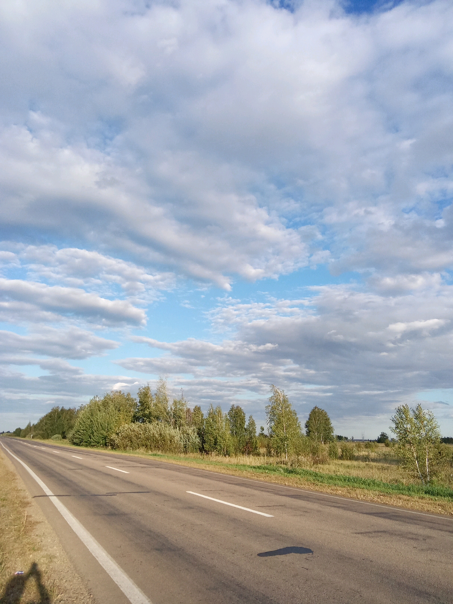The image depicts an asphalt road running through a rural landscape under a partly cloudy sky. The road has white markings, including a solid white line on the shoulder and dashed white lines in the center. To the right of the road, there is a field with dry grass and scattered trees and bushes. To the left of the road, there is a grassy shoulder and more trees further in the distance. The sky is a mix of blue patches and white clouds of varying sizes and densities. The overall scene suggests a daytime setting in a natural, unpopulated area. The location is identified as the Қарақоға rural district in Kazakhstan. There are no people or animals visible in the image.