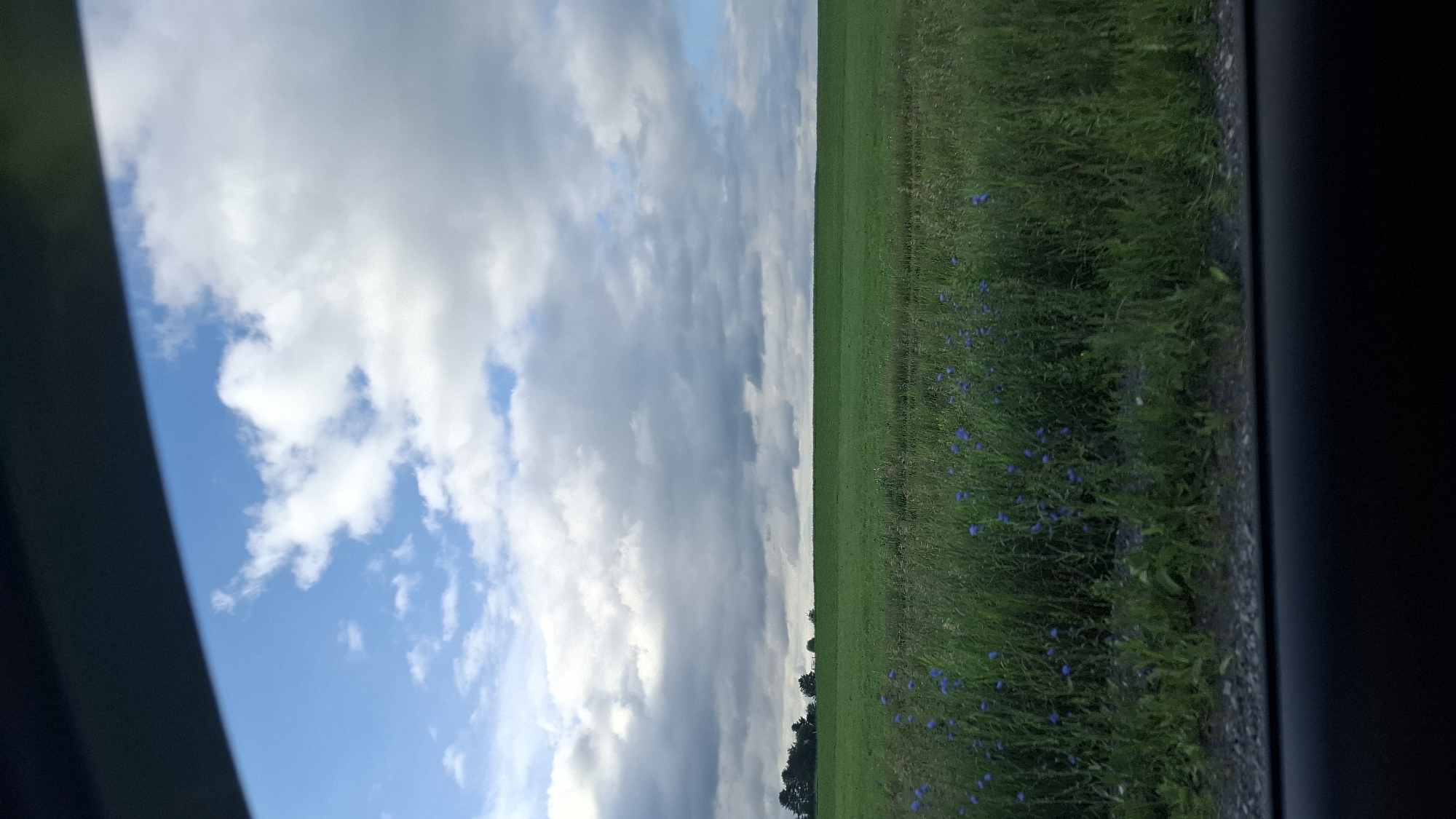 The image depicts a scenic view of a green field under a cloudy sky, as seen from a vehicle. The field is lush and extends horizontally across the frame, with a line of trees visible in the distance. Scattered throughout the grass are small blue flowers, adding a touch of color to the verdant landscape. The sky is a mix of bright blue patches and large, dramatic clouds, suggesting a dynamic weather pattern. The perspective implies the photo was taken from inside a car, with a dark border framing the right side of the image, possibly a car window or pillar. The lighting suggests it is daytime, likely late afternoon given the cloud formations. The overall mood is serene and natural.