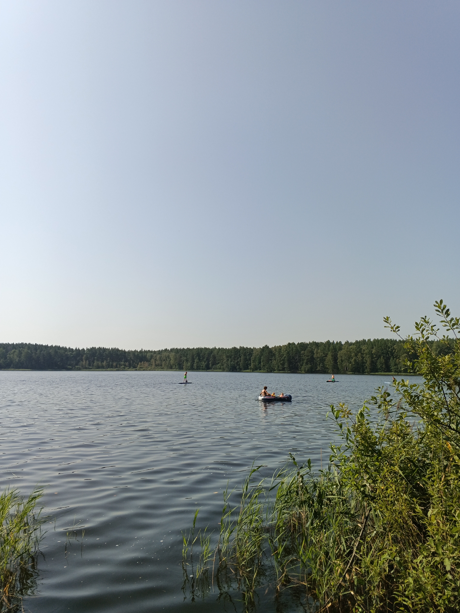 An outdoor, landscape photograph captures a serene lake scene under a clear, pale blue sky. The water is calm with gentle ripples, reflecting the overcast haze of the sky. A dense, dark green forest lines the distant shore, creating a sharp horizontal contrast against the sky. In the foreground, tall, green reeds and bushes of varying shades of green emerge from the water, framing the left and right edges of the scene.
Several individuals are present on the lake. To the left, a person stands on a paddleboard, facing away from the camera. Further to the right, a small inflatable raft carries at least two individuals, one of whom appears to be a child, with one person leaning back while the other is more upright. In the far distance, another person is visible on a paddleboard. The overall impression is one of a tranquil summer day by the water.
The photograph is taken from a low vantage point, emphasizing the expanse of the lake and the sky. The lighting is soft, suggesting it may be late morning or early afternoon. The image appears to be taken in the vicinity of Sarafanovo, Russia, given the natural landscape.