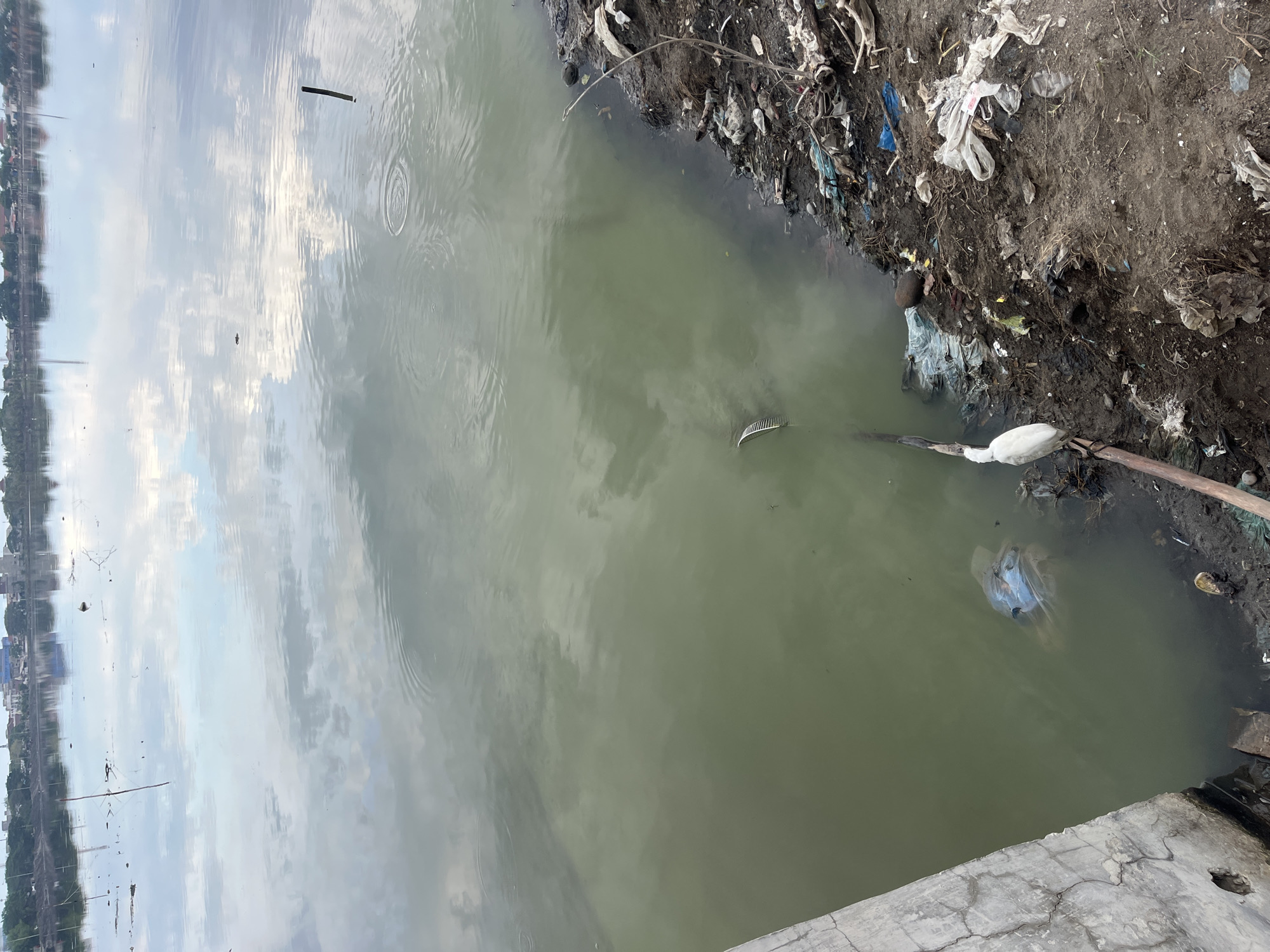 The scene is an outdoor view of a polluted body of water in Lhokseumawe, Indonesia. The water is murky and reflects the sky with light cloud cover. The shoreline is covered in trash and debris, including plastic bags and natural waste. A single white bird stands at the edge of the water, near a discarded wooden stick. A fish is partially visible in the water near the bird. A gray concrete structure is partially visible in the lower right corner, likely part of a bridge or dock. The horizon shows a distant skyline of buildings and trees.