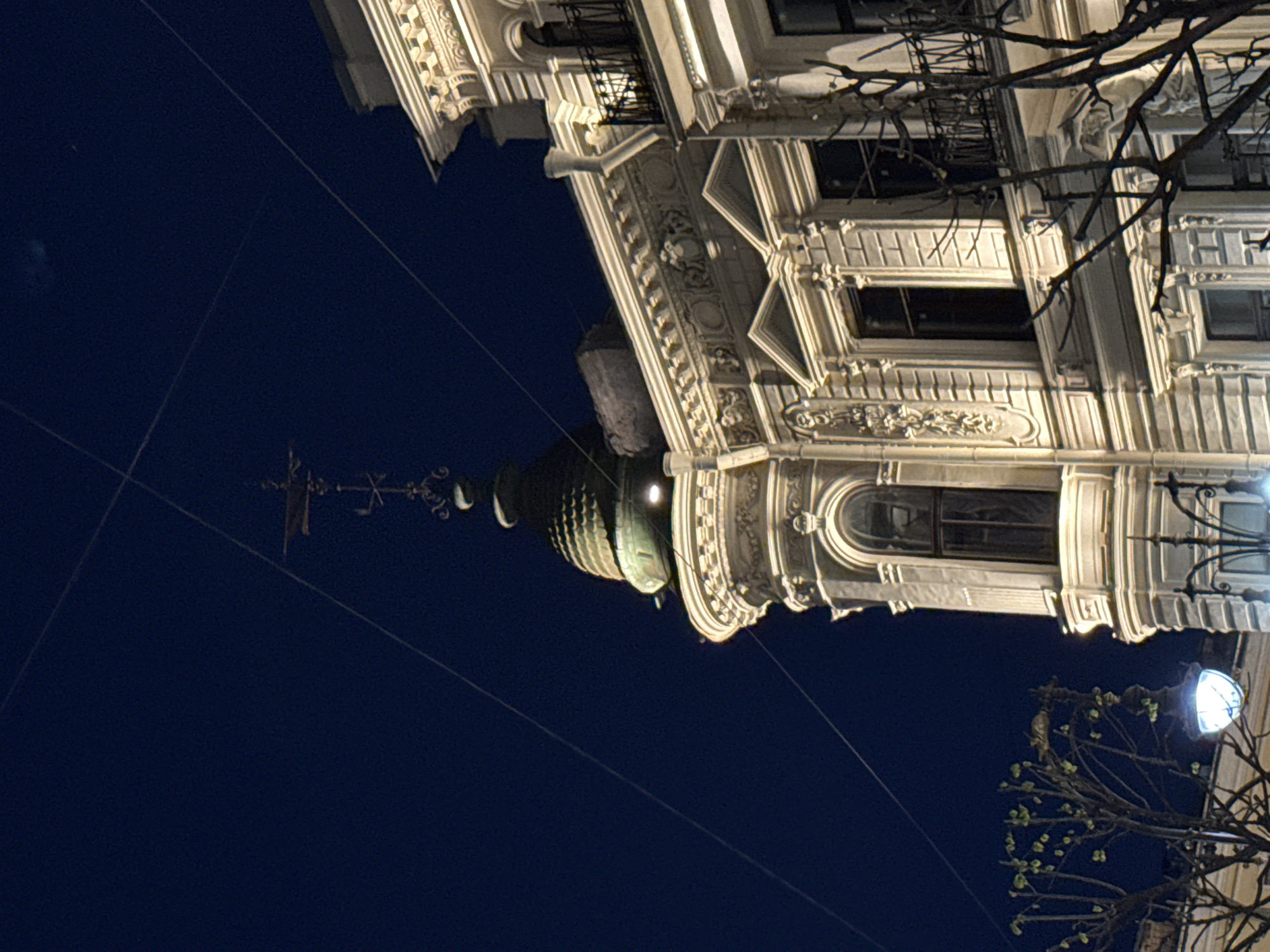 The image shows a section of a building facade in Saint Petersburg, Russia, at night. The building is intricately decorated and illuminated by streetlights. In the foreground, bare tree branches with a few budding leaves are visible, with a lamppost to the right. In the upper part of the frame, the ornate architecture of the building is prominent, featuring detailed carvings, windows, and decorative elements. A dome or spire is visible. Wires are strung across the night sky.