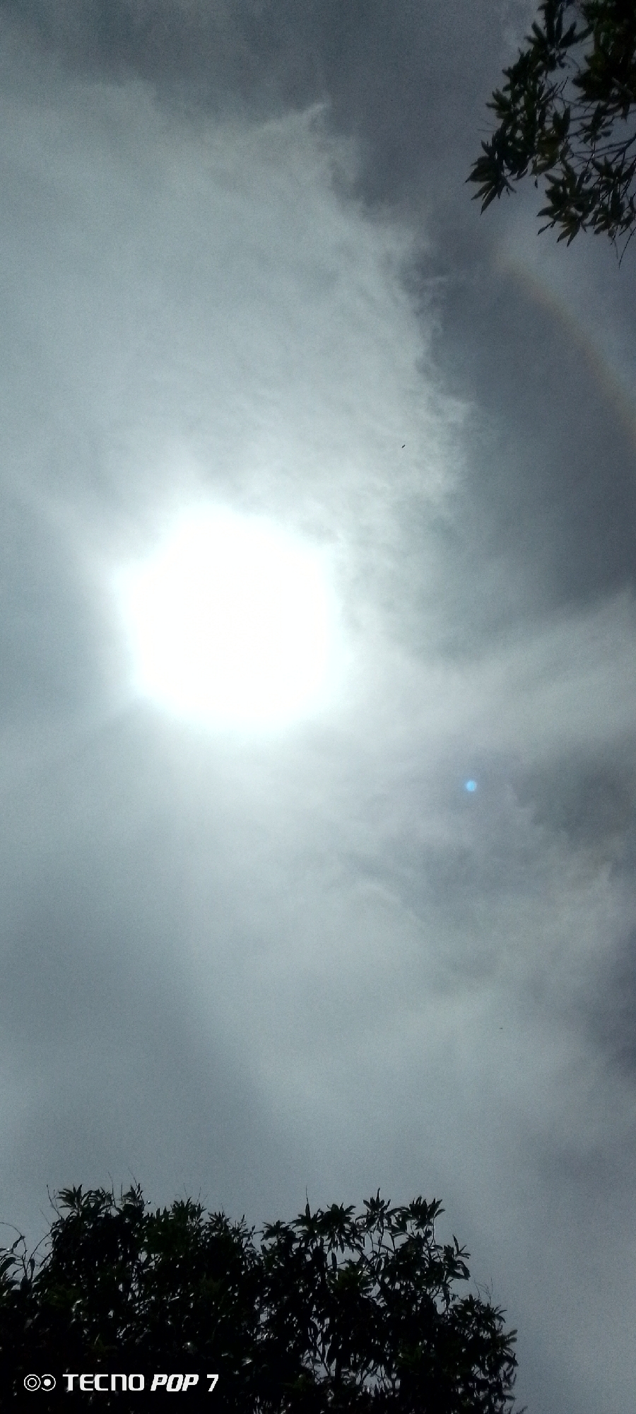 The image depicts a daytime sky with a bright sun obscured by clouds. The scene is partly framed by the silhouettes of tree branches and foliage at the top right and lower portion of the image. A faint circular rainbow or halo is visible surrounding the sun. A small bird or insect is seen flying through the clouds. A blue light flares in the clouds. The bottom left corner features the text "TECNO POP 7" indicating the camera model. The location, Altagracia, Venezuela, is derived contextually.