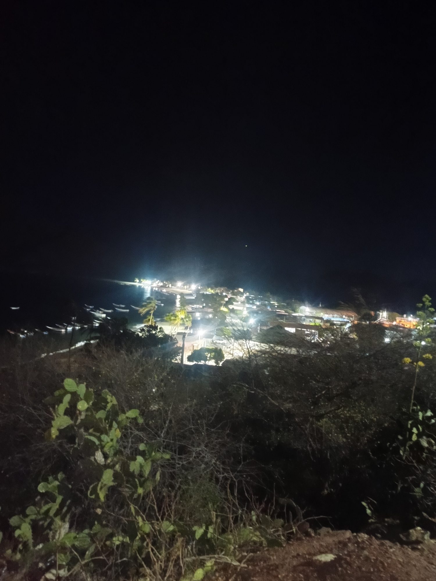 At night, a high-angle view overlooks the city of Juan Griego, Venezuela. Lights from buildings and street lamps illuminate the town, which is located on the coast. The lights reflect on the water, and boats are visible along the shore. In the foreground, vegetation obscures some of the view. The sky above is dark.