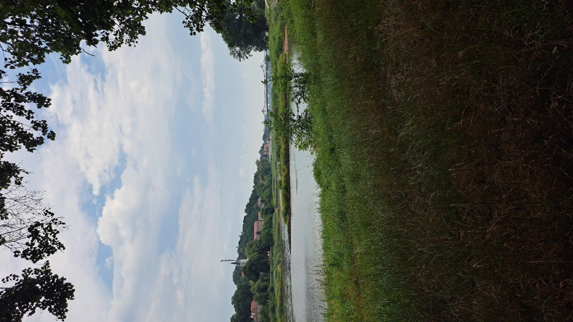 The image depicts a panoramic view of the Oder River in Krosno Odrzańskie, Poland, with a town situated on the opposite bank. In the foreground, lush green grass and reeds line the riverbank, suggesting a natural, undeveloped area. The river itself is calm and reflects the overcast sky, which is dotted with scattered white clouds. Across the river, the town is visible with its characteristic red-tiled roofs, nestled amongst trees. A prominent white church tower with a spire rises above the rooftops, indicating a historical center. In the distance, a bridge spans the river, connecting the two banks. The overall scene conveys a tranquil and picturesque landscape, typical of a riverside town in Eastern Europe.