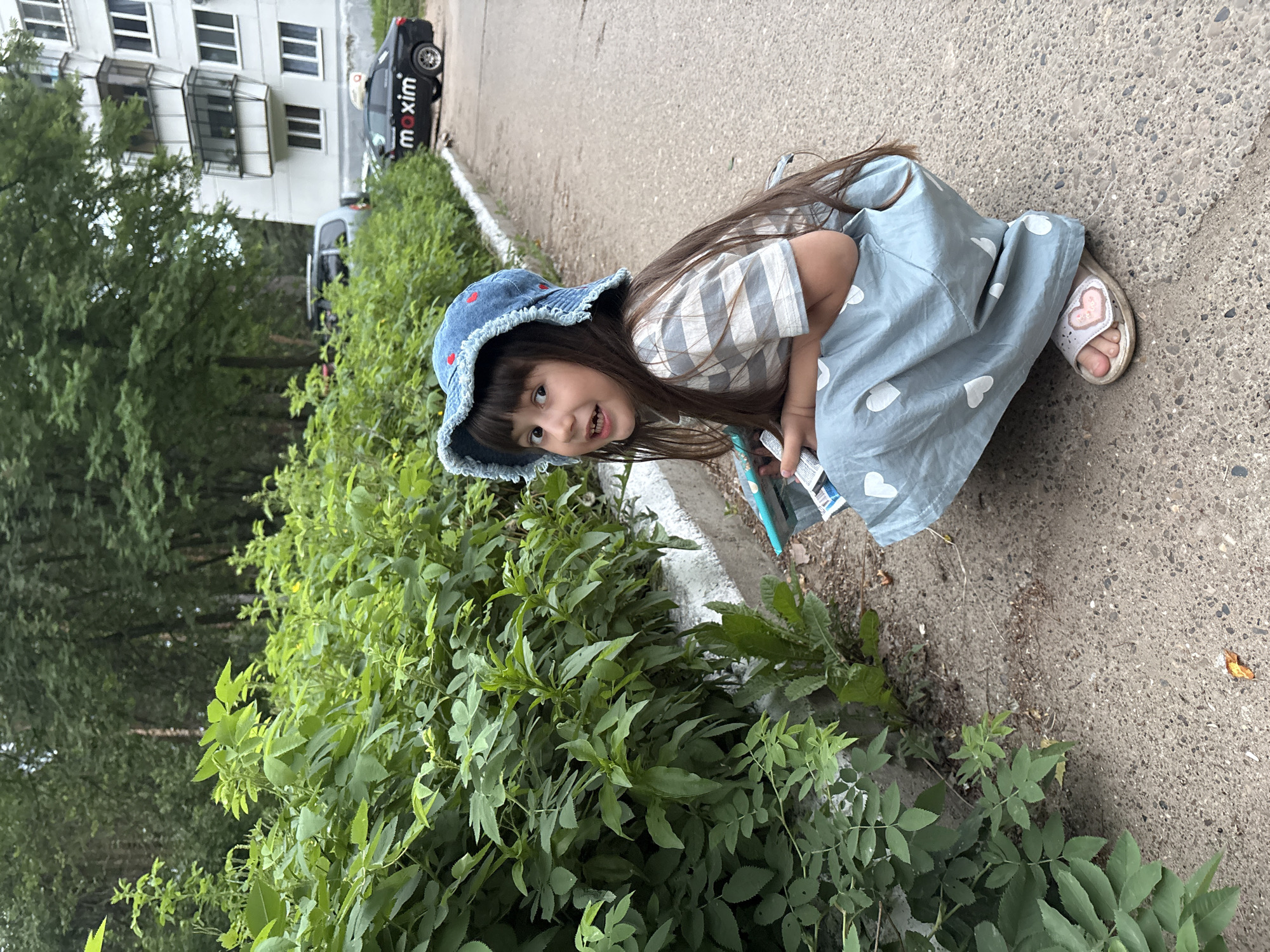 A young girl with dark hair and a blue bucket hat is crouching next to a patch of green bushes on a paved walkway. She is wearing a striped t-shirt and a light blue skirt with white hearts. The girl is holding a small blue object and a packet of something white in her hands. In the background, there is a white apartment building and a black car with the word "maxim" on its side. The scene appears to be in an urban setting, likely a residential area.