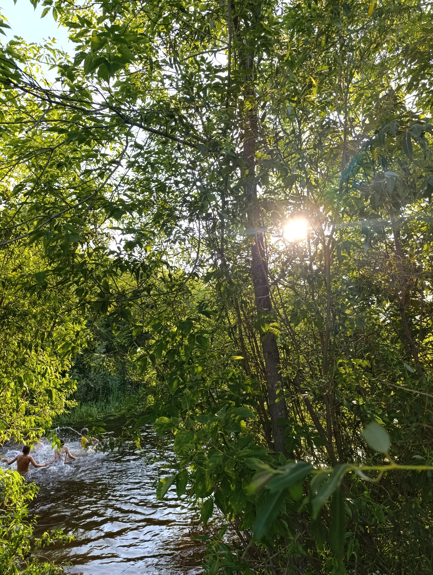 In Мехонское, Russia, on a sunny day, two children are seen swimming and playing in a river surrounded by dense green foliage. The sun is shining brightly through the leaves, creating a dappled light effect. One child, wearing a yellow shirt, is visible splashing in the water, while another child, to the left and partially obscured, is also in the river. The water is dark and appears to be flowing. The riverbank is densely covered with trees and vegetation, with sunlight filtering through the leaves.