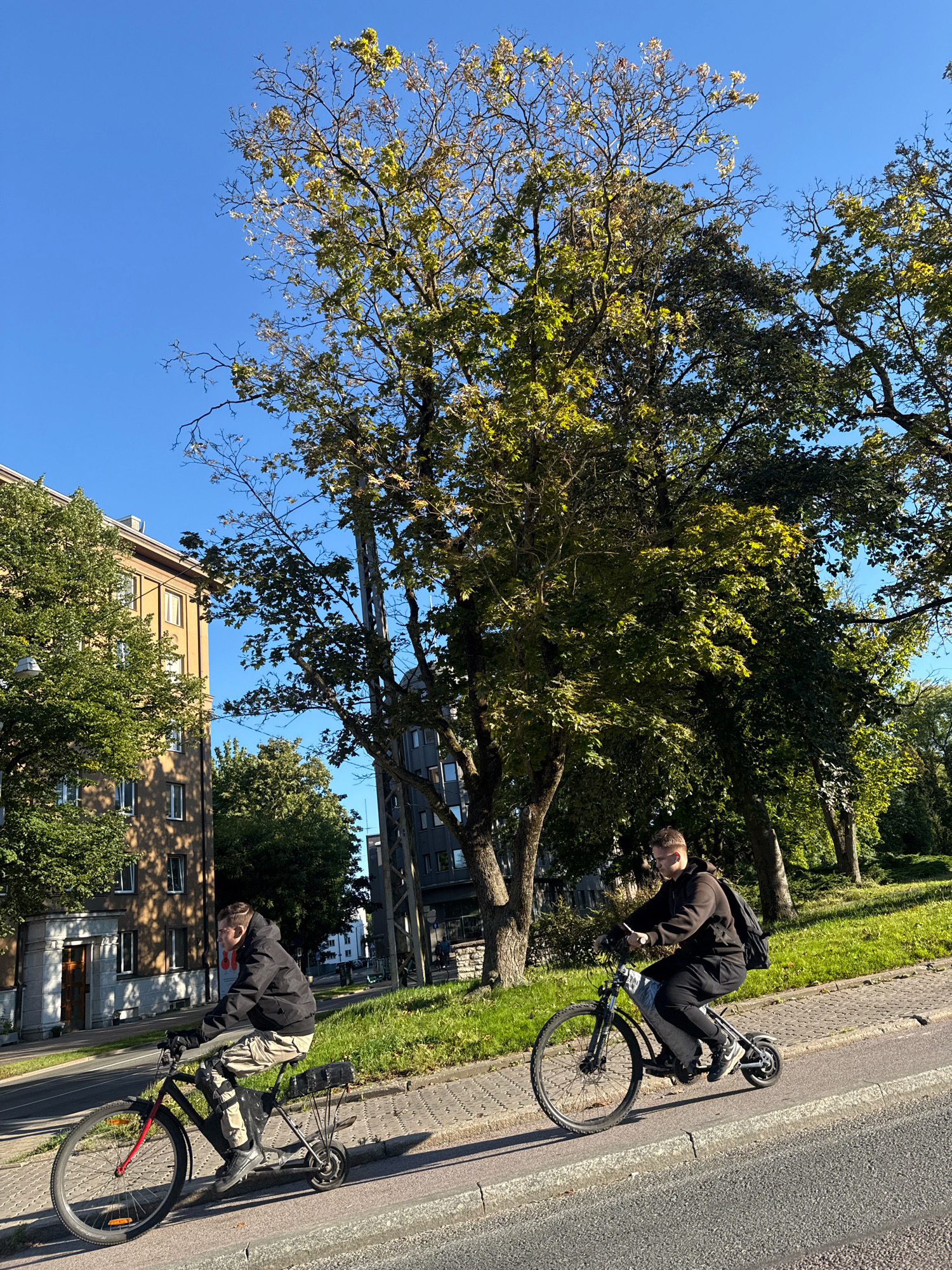 Two young men are riding bicycles on a sidewalk next to a street in Tallinn, Estonia. The man on the left is wearing a black jacket and light-colored pants. The man on the right is wearing a brown hoodie and black pants. Both men are wearing backpacks. They are riding electric bikes. The street is paved, and the sidewalk is made of interlocking bricks. There are trees and buildings in the background. The sky is clear and blue.