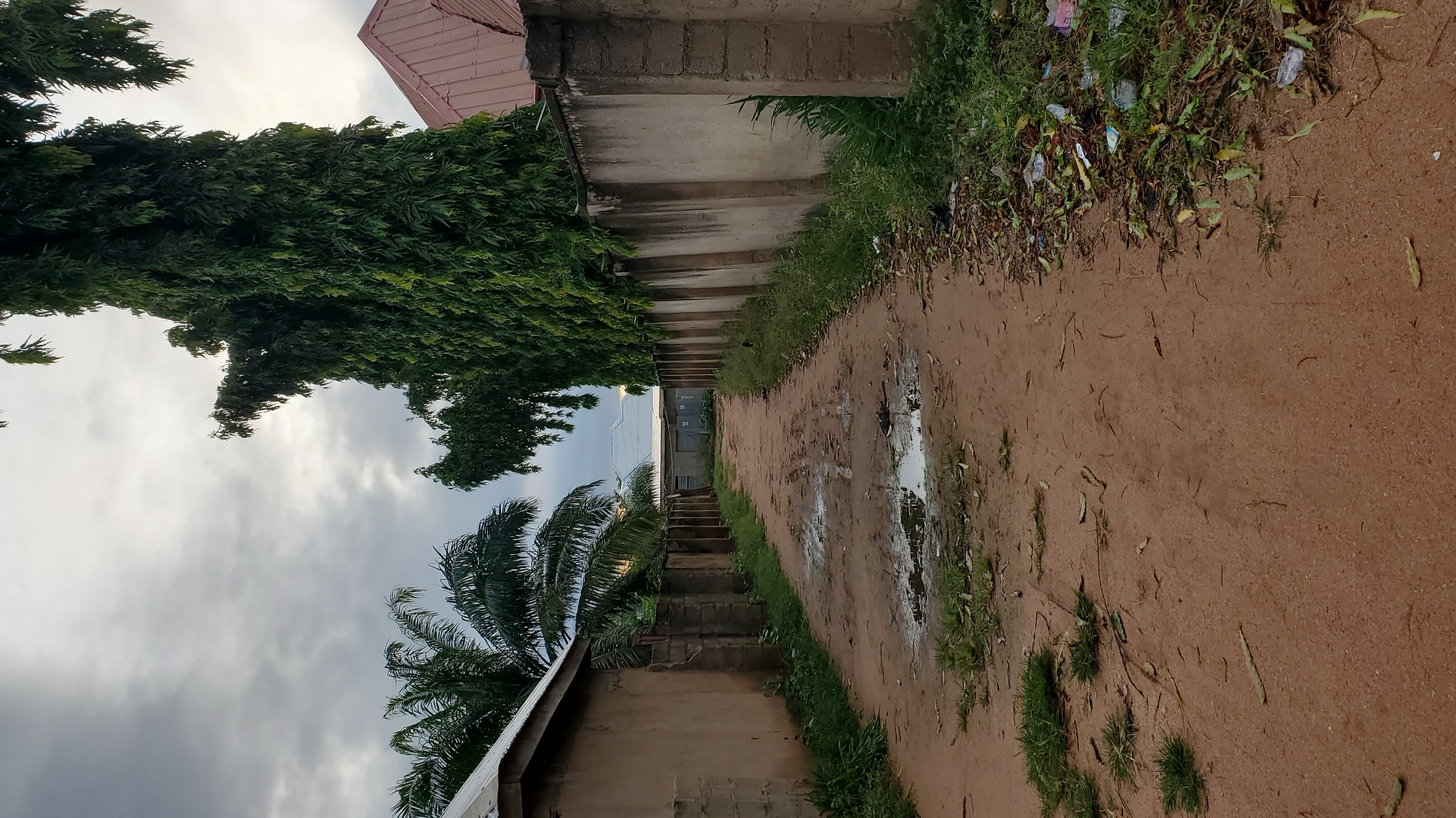 The image depicts a dirt road in Jalingo, Nigeria, bordered by a concrete wall on the right and a building on the left. Lush green trees, including a tall, dense, columnar tree, line the right side of the road, casting shadows. A palm tree is visible to the left. The road surface is uneven, with several puddles of water scattered along its length, indicating recent rainfall. Debris, including plastic waste and dried leaves, is present along the edge of the road and bordering the wall on the right. In the distance, more buildings with corrugated roofs are visible. The sky is overcast with gray clouds. No people are visible in the image.