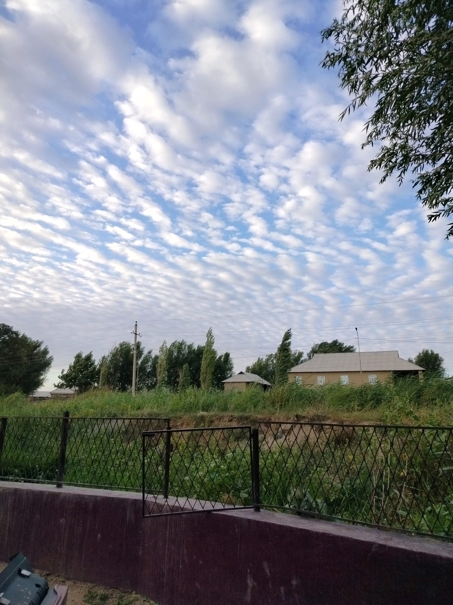 This is an outdoor, eye-level, vertical, medium shot photograph taken in the city of Kölkent, Kazakhstan. The image depicts a rural or semi-rural residential area under a cloudy sky. In the foreground, a dark-colored metal fence with a diamond pattern is visible, supported by posts. The fence sits atop a raised, dark reddish-brown concrete or stone structure. Behind the fence, a slope covered with dense green grass and vegetation rises.
Further back, several houses with light-colored roofs are nestled amongst lush green trees and tall grass. One prominent house in the middle ground has a beige facade with multiple windows. A utility pole with wires is also visible amidst the trees. The sky is filled with a pattern of white, scattered cumulus clouds against a pale blue background, suggesting fair weather. The overall impression is of a serene, slightly overgrown residential landscape. There are no people or animals visible in the frame, and no actions or interactions are depicted.