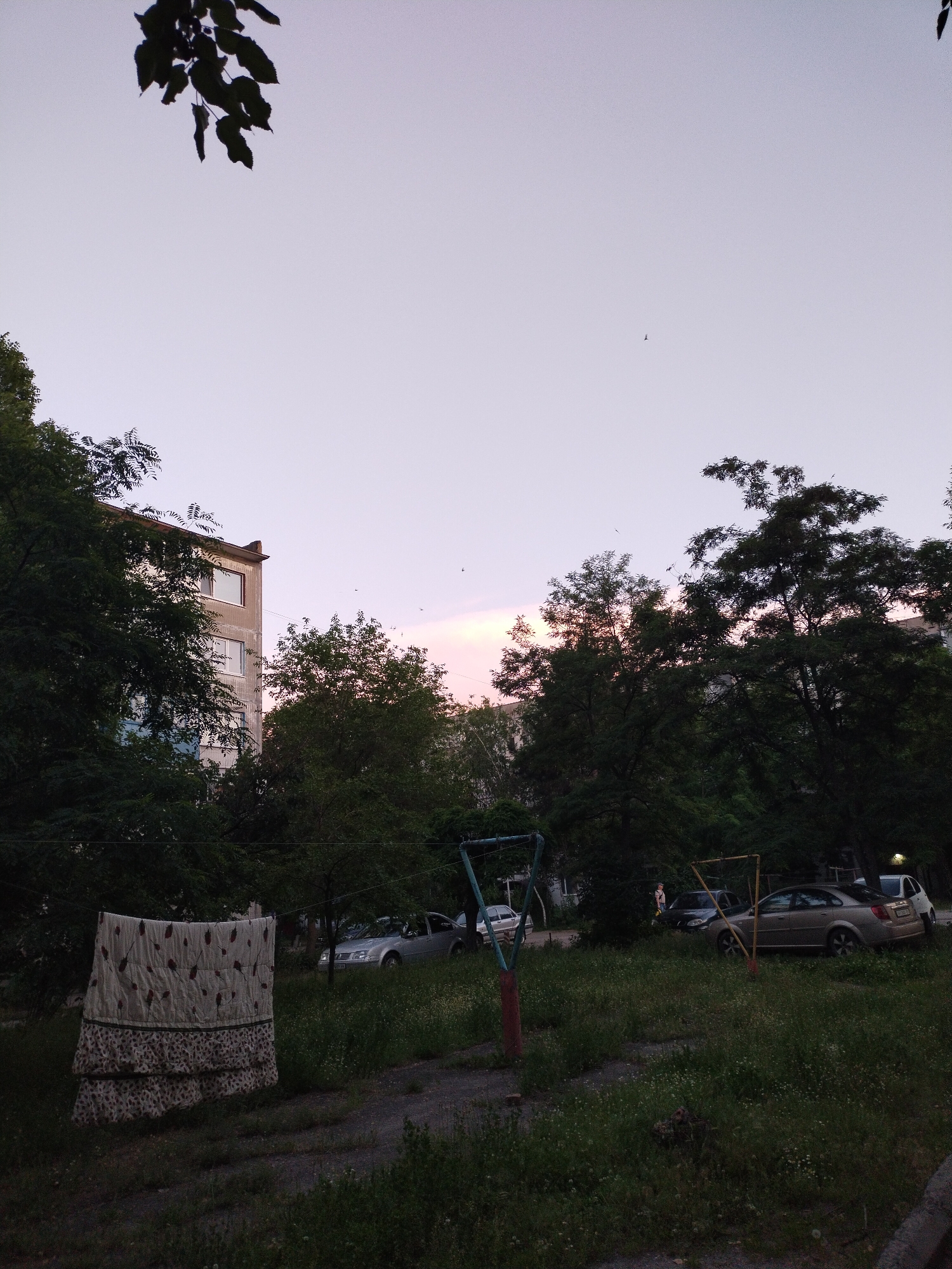 The image depicts a courtyard in Horishni Plavni, Ukraine, likely during twilight. A multi-story residential building with several windows is partially obscured by dense, dark green trees in the foreground and mid-ground. The sky is a pale, gradient hue, transitioning from a light purple near the horizon to a lighter shade above, with a few small, dark birds visible in the distance.
In the foreground, a clothesline stretches across the frame, holding a large, patterned quilt with a strawberry motif. The quilt is draped in a way that suggests it is still drying. To the right of the clothesline, a patch of overgrown grass and weeds can be seen, interspersed with small white flowers. Several cars are parked in the background, including a silver sedan and a white car, positioned on a paved area that appears to be a road or parking lot.
Two abstract structures, possibly remnants of a playground or sports equipment, are visible in the mid-ground. One is a triangle made of colorful metal poles, and another is a yellow frame with red supports. The overall atmosphere is quiet and somewhat desolate, suggesting a residential area at the end of the day. The lighting is subdued, indicating low natural light conditions.