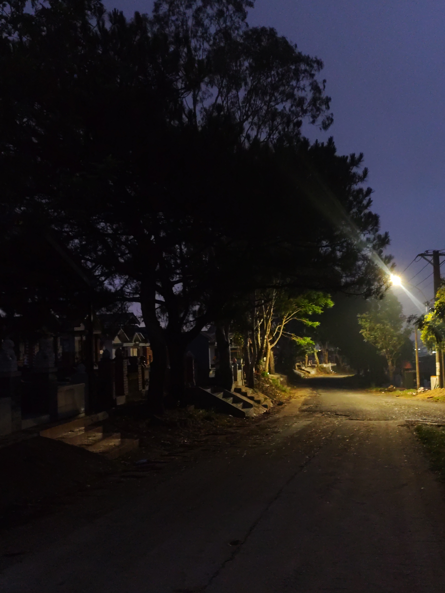 The image depicts a dimly lit street in Lạc Dương, Vietnam, at dusk or night. A road stretches into the distance, illuminated by a single streetlamp that creates a bright flare. Trees line both sides of the road; the trees on the left are denser and cast deep shadows, obscuring potential buildings or objects. On the left, there appear to be some tombstones. On the right side of the road, trees and vegetation are somewhat more visible. Power poles are visible on the right. The sky is a dark, muted blue.
