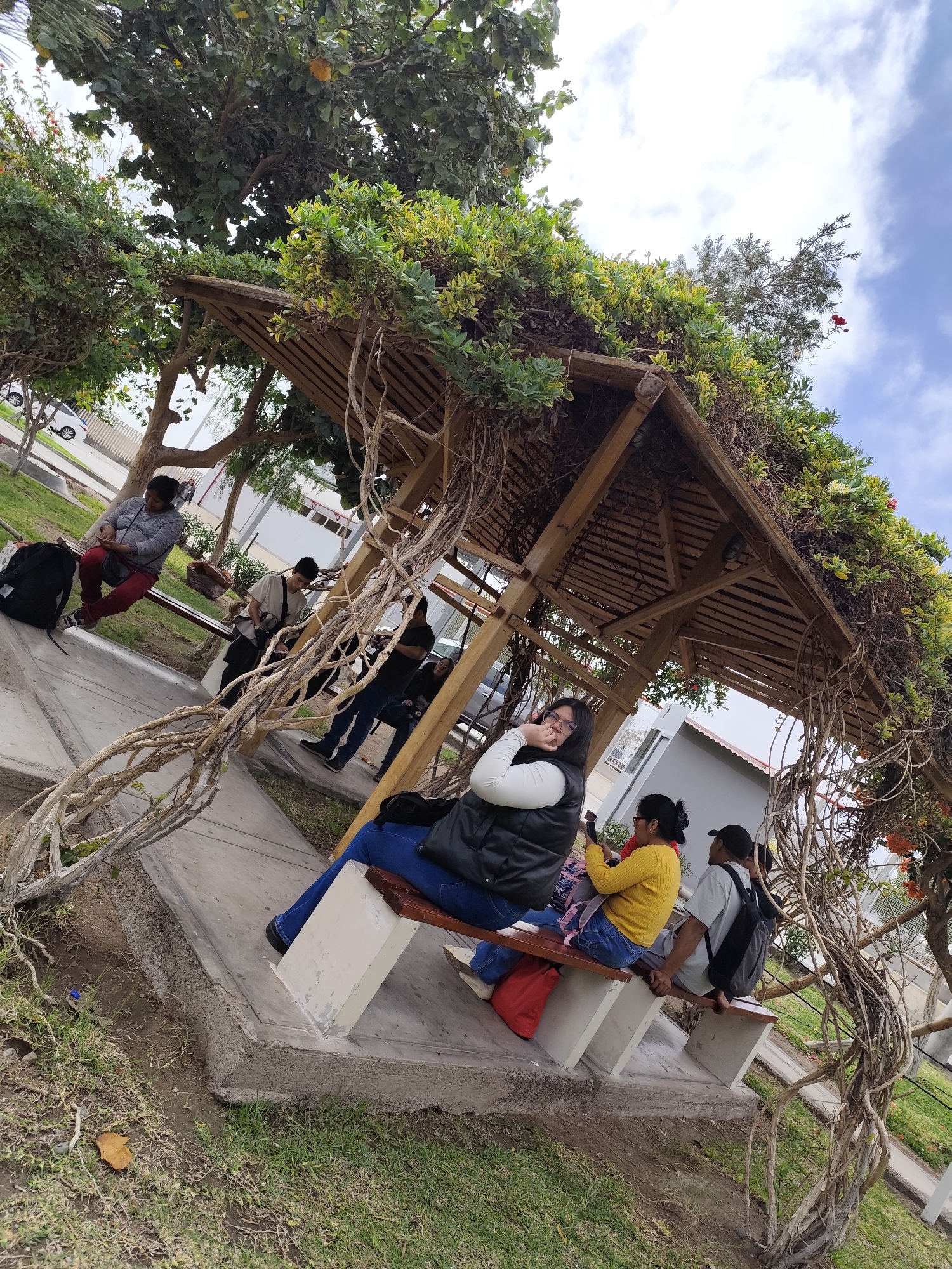 In Tacna, Peru, under a wooden pergola covered with vines and foliage, a group of individuals are seated on benches. The pergola's roof is made of wooden slats, and its structure is intertwined with thick, dry branches. On the left, a person wearing a gray sweater and maroon pants sits on a bench, looking at their phone, with a black backpack next to them. Further to the right, a person in a beige shirt is also seated, holding a bag. In the foreground, a woman in a white long-sleeved shirt and black vest is looking towards the camera, resting her hand on her chin. Next to her, a woman in a yellow sweater and blue jeans is looking at her phone, with a pink backpack on her lap. To her right, a person wearing a white shirt and a black baseball cap sits on the bench with a black backpack. The ground is covered with grass and concrete pathways. The sky is partly cloudy, with blue patches visible.