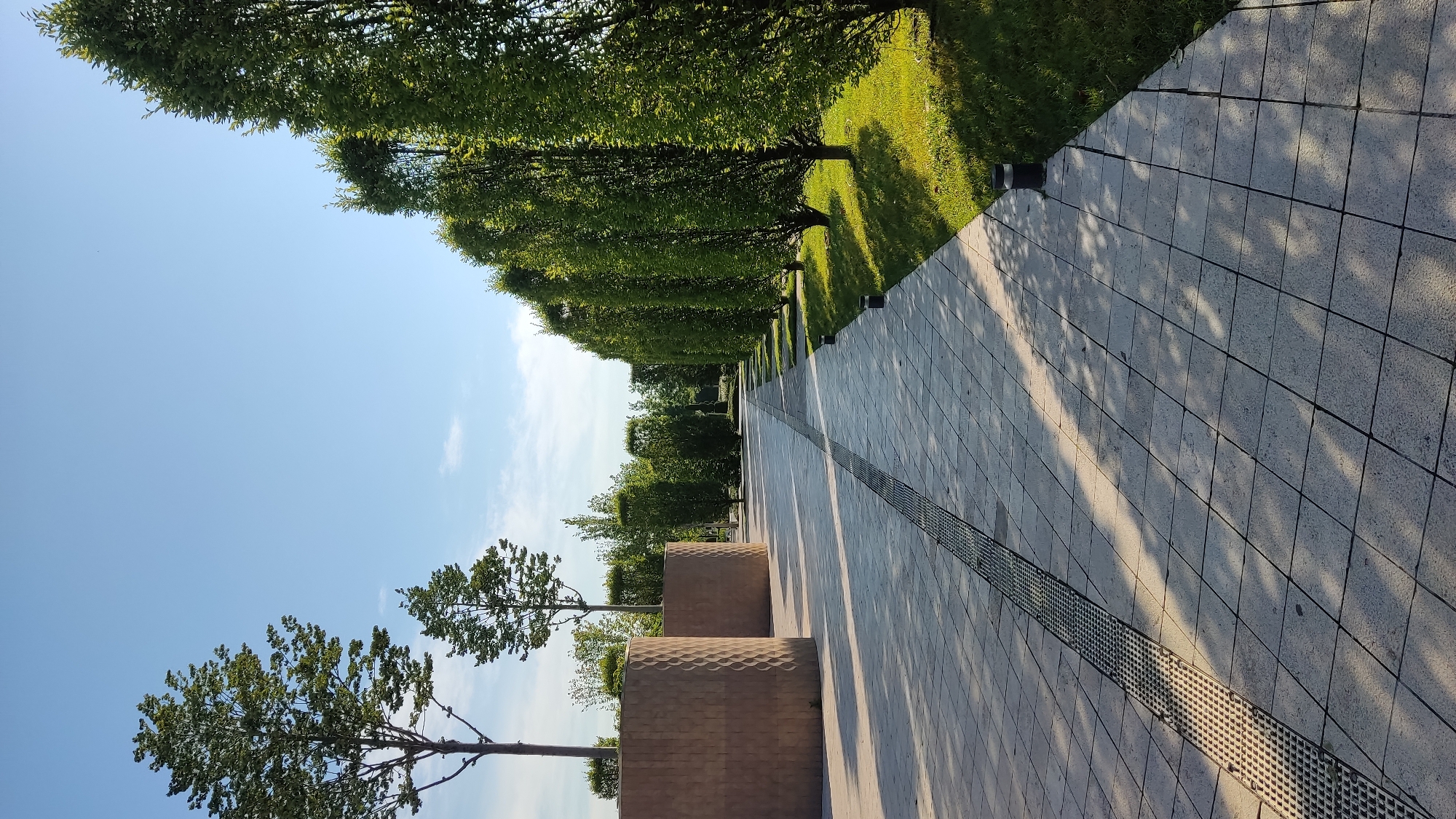 The image depicts a paved walkway in a park or public garden, likely in Krasnodar, Russia, given the context. The walkway is constructed from large, light-colored square tiles, with a metal grate drainage channel running along its left side. The path recedes into the distance, lined by manicured grass on the right and geometric, textured cylindrical structures on the left. A row of tall, slender trees with dense green foliage forms a prominent feature along the right edge of the walkway, casting shadows on the path. In the background, more trees and landscaping are visible under a clear blue sky with a few wispy clouds. The overall impression is one of a well-maintained, serene outdoor public space.