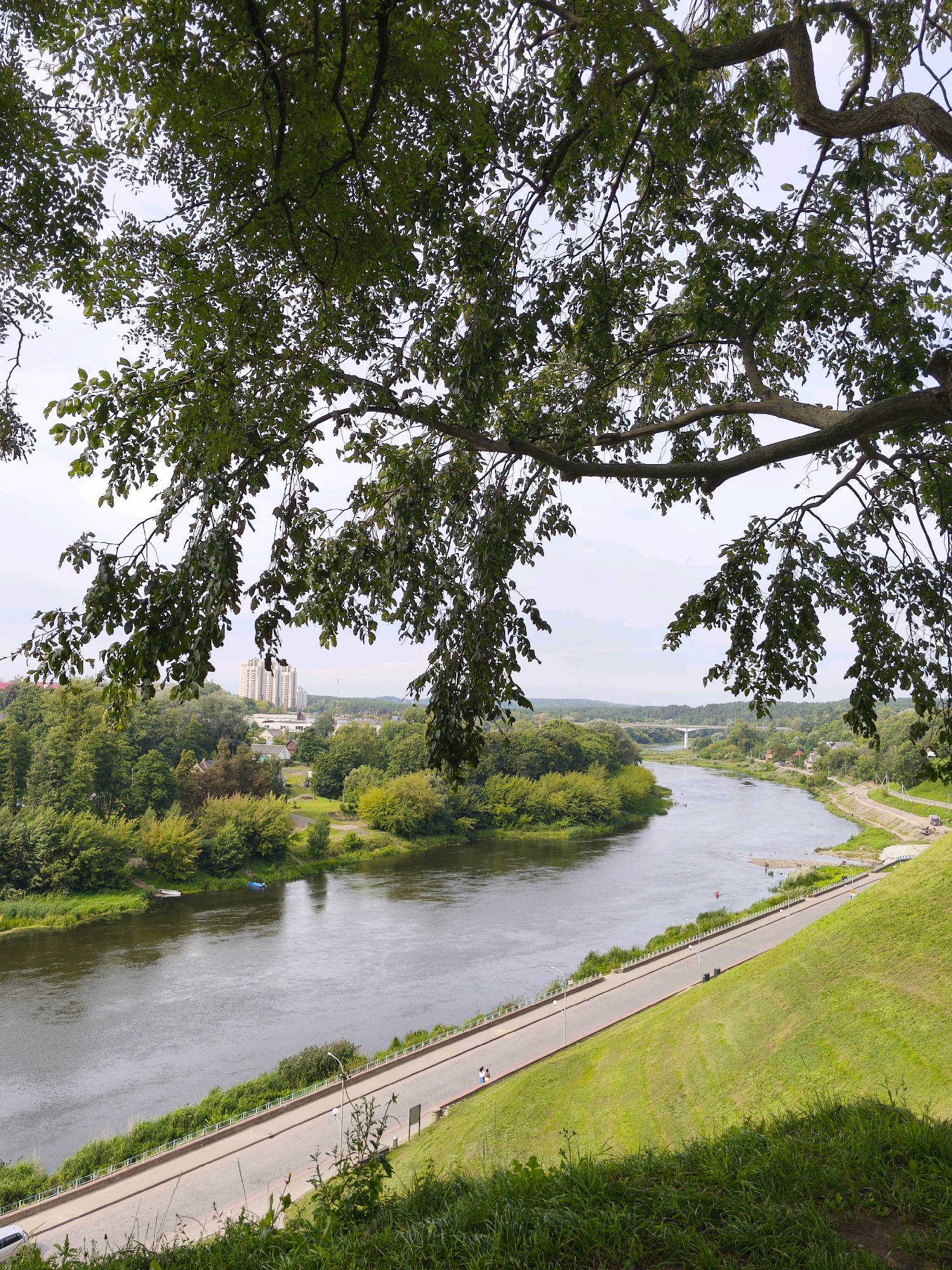 The image shows a wide river flowing through a city in Hrodna, Belarus. The riverbanks are lined with trees and grassy slopes. A road runs along one side of the river, with a few people walking on it. In the distance, there is a bridge spanning the river and a cluster of buildings. The sky is overcast. The vantage point is from a high elevation, looking down over the river and city, with the branches of a large tree in the foreground obscuring parts of the sky and city.