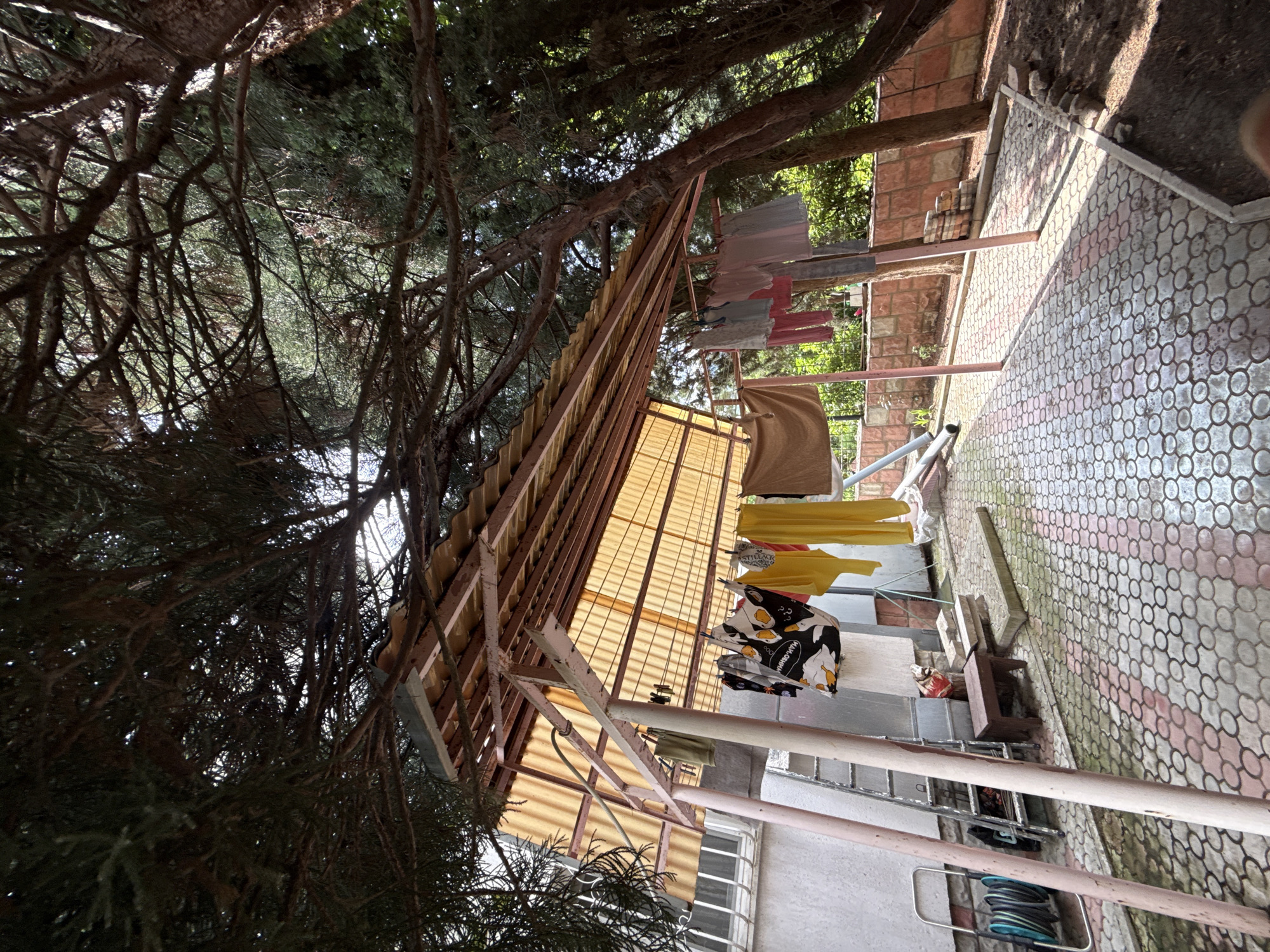 In a backyard area with a paved walkway and a covered patio, laundry hangs on a clothesline under a translucent yellow roof. The walkway is made of interlocking gray and pink circular stones. A metal ladder leans against a white wall, and a hose reel with a coiled green hose is nearby. Clothes, including a black and white patterned garment with cartoon ducks, yellow garments, and pastel-colored clothing, are suspended on the line. A small brown wooden stool sits on the patio. The scene is framed by the dense branches of evergreen trees, casting shadows on the ground. The environment suggests a residential setting, likely outdoors, with laundry being air-dried.