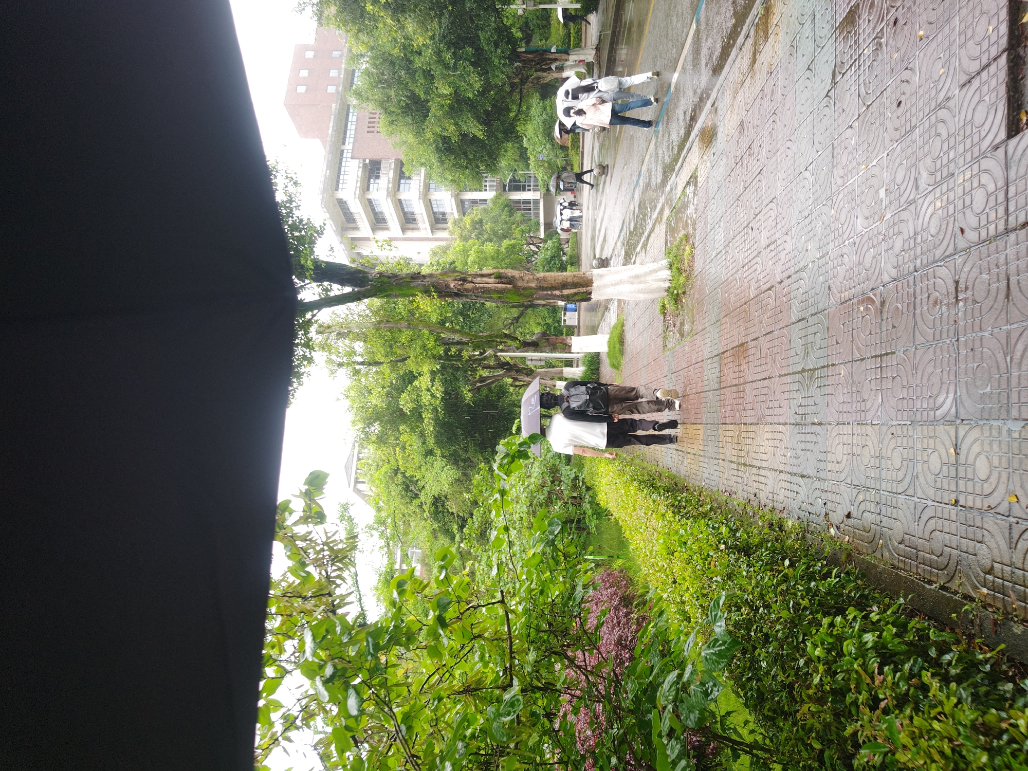 The image depicts an outdoor scene on an overcast and rainy day, likely during daytime hours, within a verdant urban or campus environment in the Chongqing High-tech Zone. The photograph is oriented vertically, showing a paved pathway stretching into the distance, bordered by lush greenery.
Several individuals are present, walking along the path while using umbrellas for protection against the rain. In the foreground-midground, two people walk together under a dark umbrella; one is identifiable in a white shirt and dark pants, carrying a backpack. Further ahead, another pair navigates the path under a light-colored umbrella, with one person wearing a light top and blue jeans. More figures with umbrellas are visible in the background, though less distinct.
The pathway is constructed from distinctive patterned tiles, featuring a repeating motif of circles and squares. The ground and foliage appear wet, confirming the rainy conditions. Abundant green trees and various bushes line both sides of the path, creating a rich natural landscape. Some bushes display patches of reddish-purple foliage, adding variety to the predominant green. In the background, several multi-story buildings with visible windows, possibly institutional or residential structures, are nestled amongst the trees, characterized by their brown and lighter-toned facades. The scene conveys a sense of daily life continuing amidst the rain within a well-maintained, green setting. No discernible text is visible in the image.