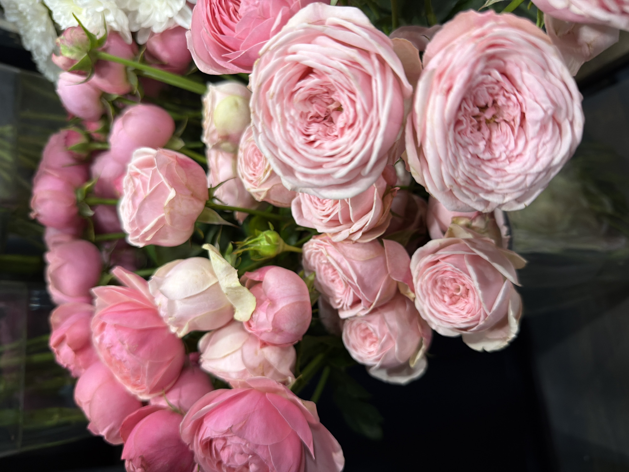 A bouquet of pink roses is showcased against a dark background. The roses are predominantly a soft pink hue, with some appearing lighter, almost white at the edges of their petals. The flowers are densely packed, with various stages of bloom visible, from tightly closed buds to fully opened blossoms. The textures of the petals are delicate and layered. The bouquet is arranged in a clear vase, partially visible at the bottom of the frame. The lighting highlights the curves and folds of the rose petals. The overall impression is one of soft elegance and natural beauty.
