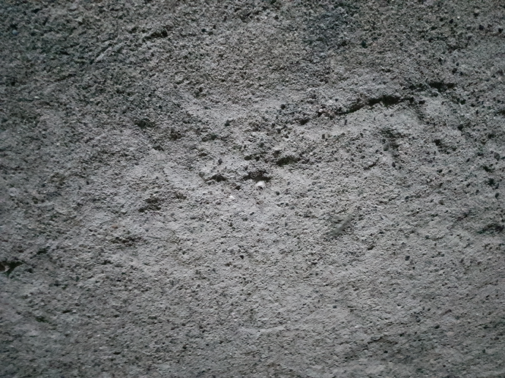 The image shows a close-up, eye-level, full-frame shot of a textured, gray concrete surface. The texture is rough and uneven, with small pebbles and pits visible. The lighting appears to be dim, casting subtle shadows that enhance the texture. There are no people, animals, or identifiable objects present. The image is a detail shot of a wall or surface, likely located in the city of Kauman, Indonesia, though no specific landmarks or contextual clues confirm this location. The overall impression is one of stark materiality and rough construction.