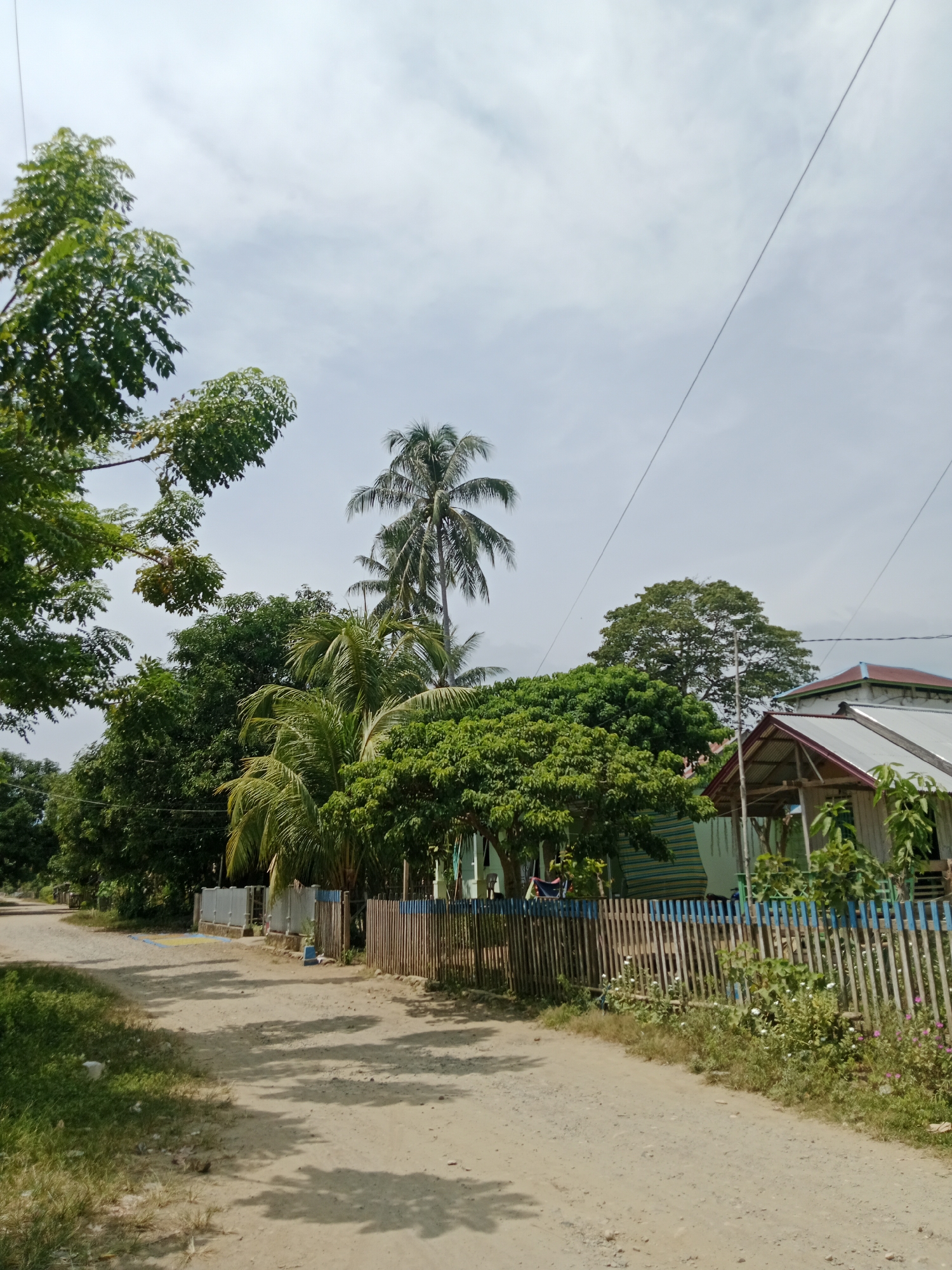 The image depicts a rural scene in Lakea Satu, Indonesia, on a bright, cloudy day. A dirt road curves through the foreground, bordered by sparse green grass on the left and a wooden fence on the right. Several trees, including a tall coconut palm, line the right side of the road, with lush green foliage. Behind the fence, a simple wooden structure with a corrugated metal roof is visible, appearing to be a dwelling or small shop. The sky is overcast with diffused light. The scene is tranquil and appears to be a typical residential area in the Indonesian countryside.