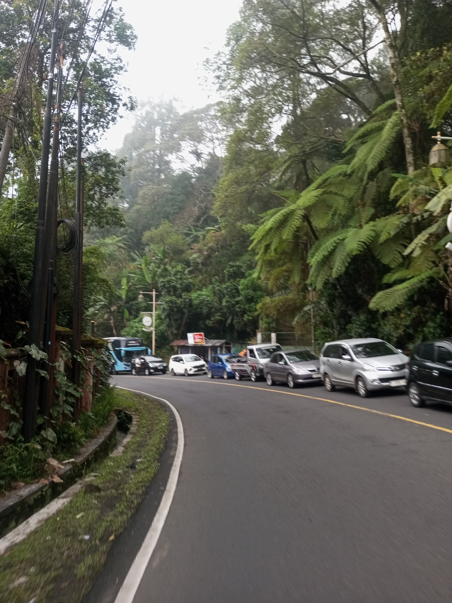 The image depicts a winding road lined with parked cars in a lush, mountainous area. The vehicles are a mix of colors and models, including a blue bus, white car, and silver minivan. The road curves to the left, and a drainage ditch runs alongside it on the left side. Dense foliage, including ferns and trees, surrounds the road, and fog or mist obscures the background trees. Utility poles with wires are visible on the left side of the road. The scene appears to be within the Mae Chan District, Thailand, given the tropical vegetation and road characteristics.