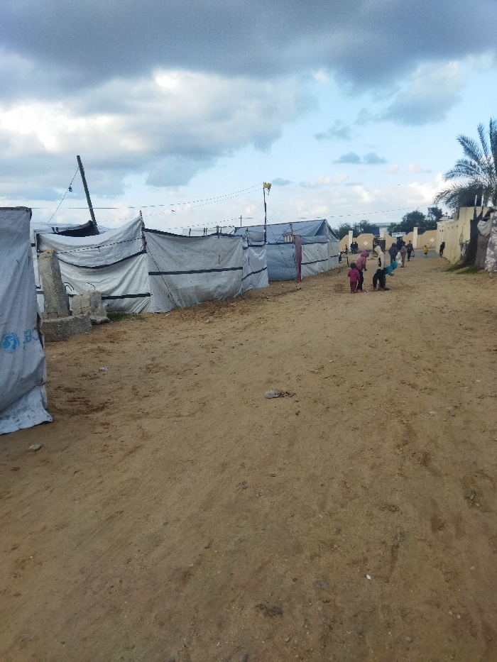 This image captures an unpaved, sandy pathway in Khan Yunis, Palestinian Territory, flanked by makeshift structures under a partially overcast sky. On the left, a linear arrangement of at least eight temporary shelters, predominantly constructed from white and light blue tarpaulins or sheets, extends into the distance. The tarpaulin on the far left shelter displays a partial UNICEF logo. These shelters are supported by various upright poles and frames, including a prominent wooden pole with attached ropes. Overhead wires span across the scene, connected to a pole in the mid-ground which bears a yellow mounted fixture, possibly a light or sensor. The dirt path in the foreground exhibits scattered small debris.
In the mid-ground, a group of approximately eight individuals, comprising both adults and children, occupies the path. Two children, dressed in pink, are observed bending down near the left side of the path. Other figures are seen walking away from the viewer towards structures in the background. On the right side of the path, light-colored walls with decorative elements become visible, partially obscured by a palm tree. Additional distant figures are present near the background structures.