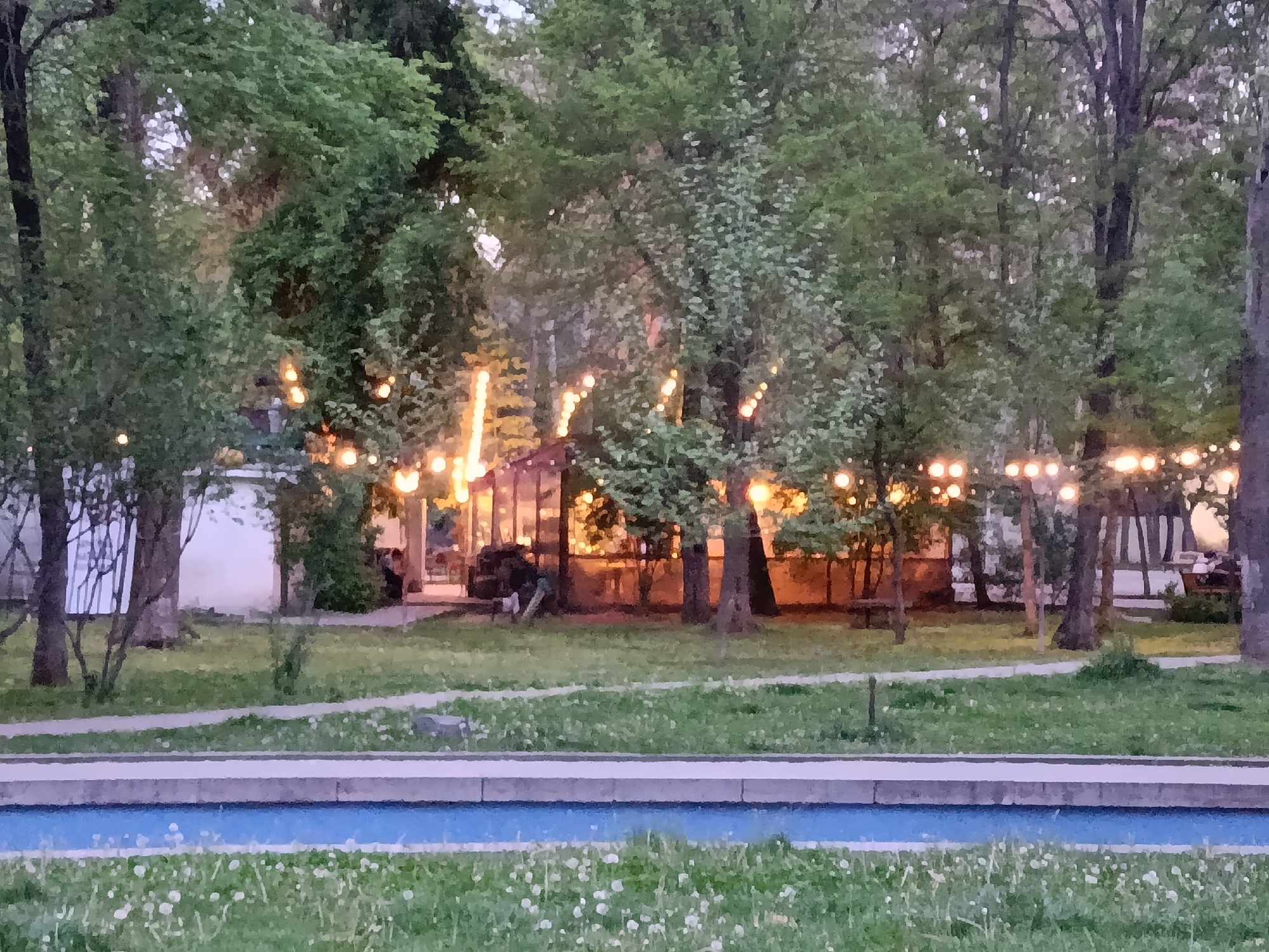 The image depicts a park setting, likely in Yerevan, Armenia, during the evening or twilight. A narrow, rectangular body of water, possibly a decorative canal, stretches horizontally across the foreground, its surface reflecting a soft blue hue. The bank of the canal is constructed with grey stones or concrete. Beyond the canal, a grassy lawn dotted with white dandelions extends towards a path made of light grey paving stones.
In the midground, trees with dense green foliage create a leafy backdrop. String lights, emitting a warm, orange glow, are suspended between the trees, suggesting an outdoor dining or entertainment area. A structure, possibly a restaurant or pavilion, is partially visible behind the trees. The architectural details are obscured, but the presence of the structure implies a social or recreational function. People can be seen in the structure, but the details are unclear.
The overall scene evokes a sense of tranquility and ambiance, highlighting the natural beauty and urban amenities of Yerevan.